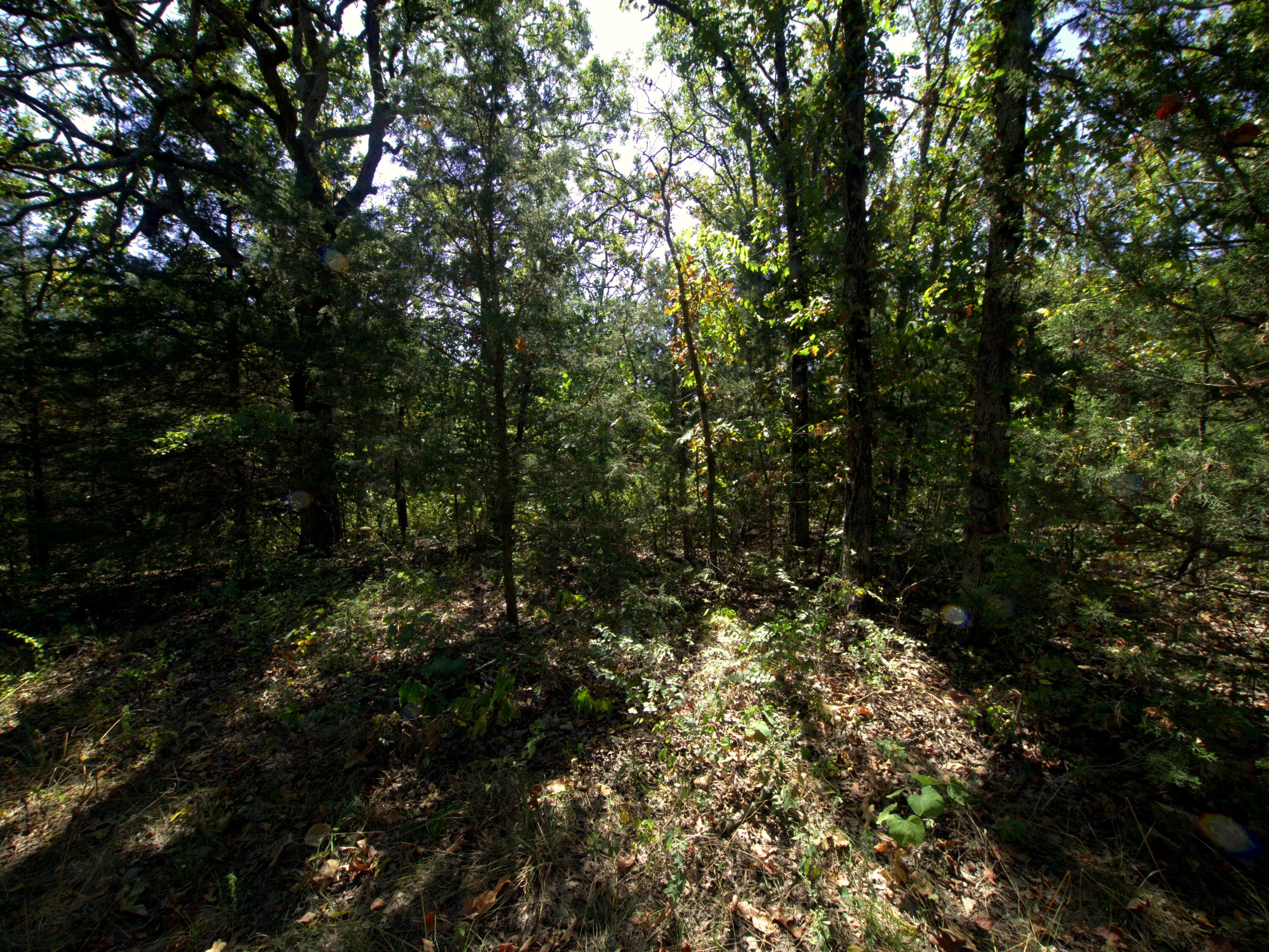 Photo 29 - Land for sale – Tract 1-3  Simpson Rd   Urbana, MO