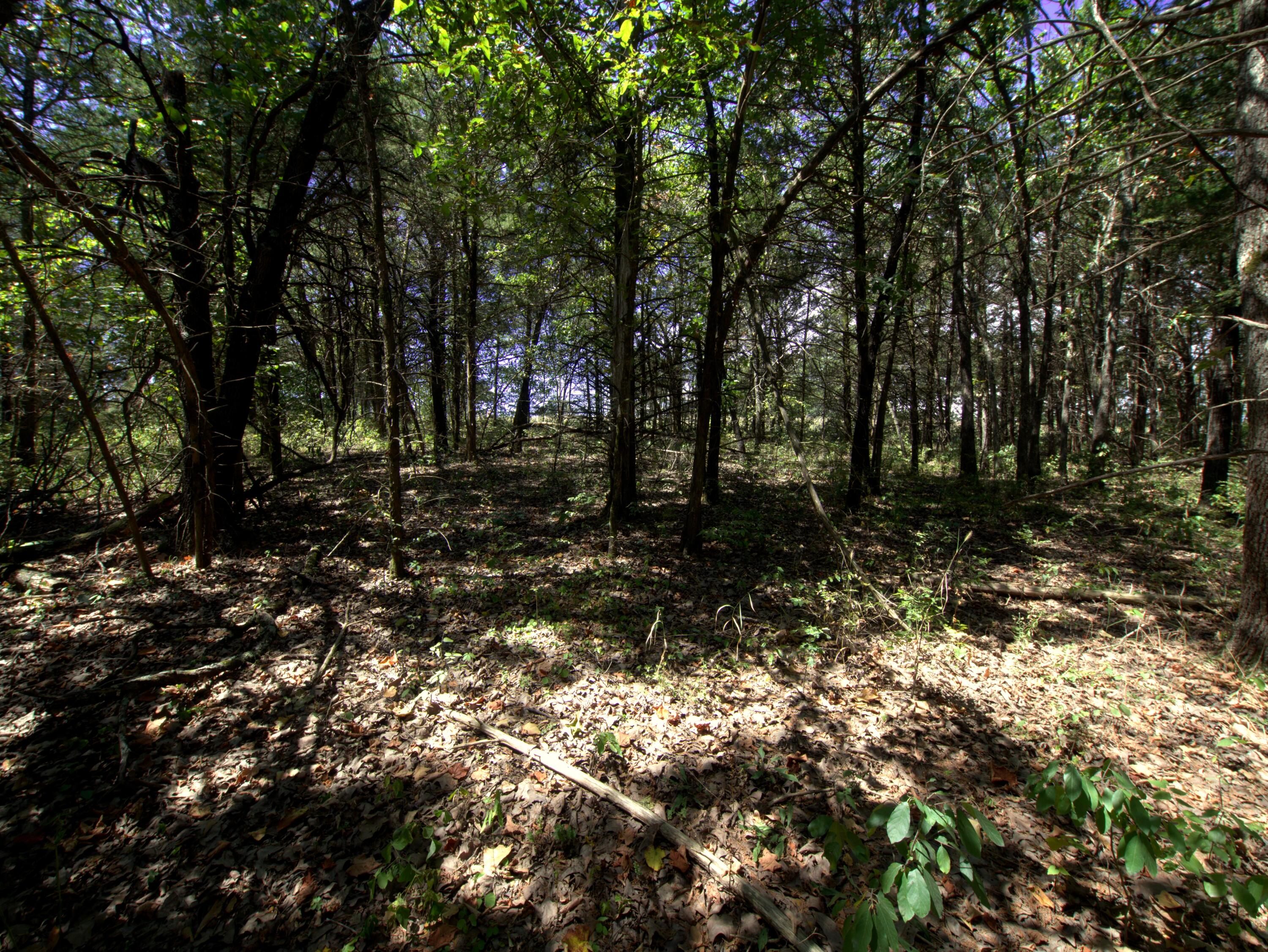 Photo 11 - Land for sale – Tract 1-3  Simpson Rd   Urbana, MO