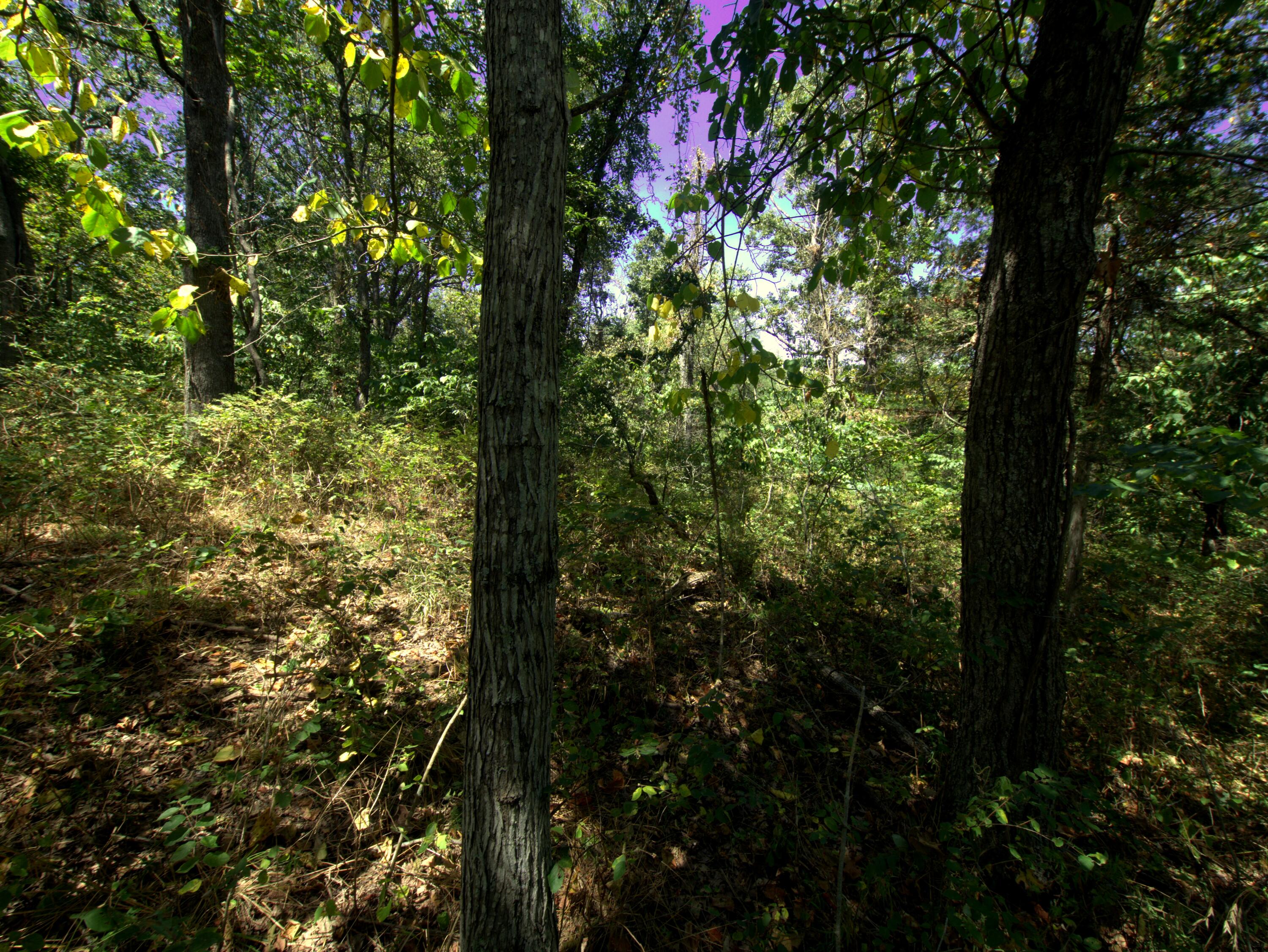 Photo 24 - Land for sale – Tract 1-3  Simpson Rd   Urbana, MO