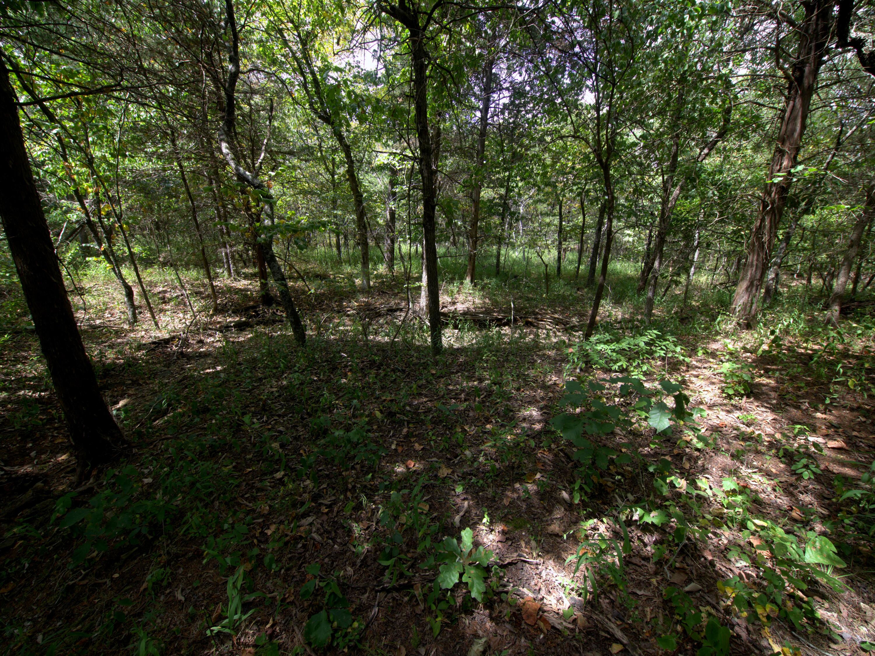 Photo 12 - Land for sale – Tract 2-4  Simpson Rd   Urbana, MO