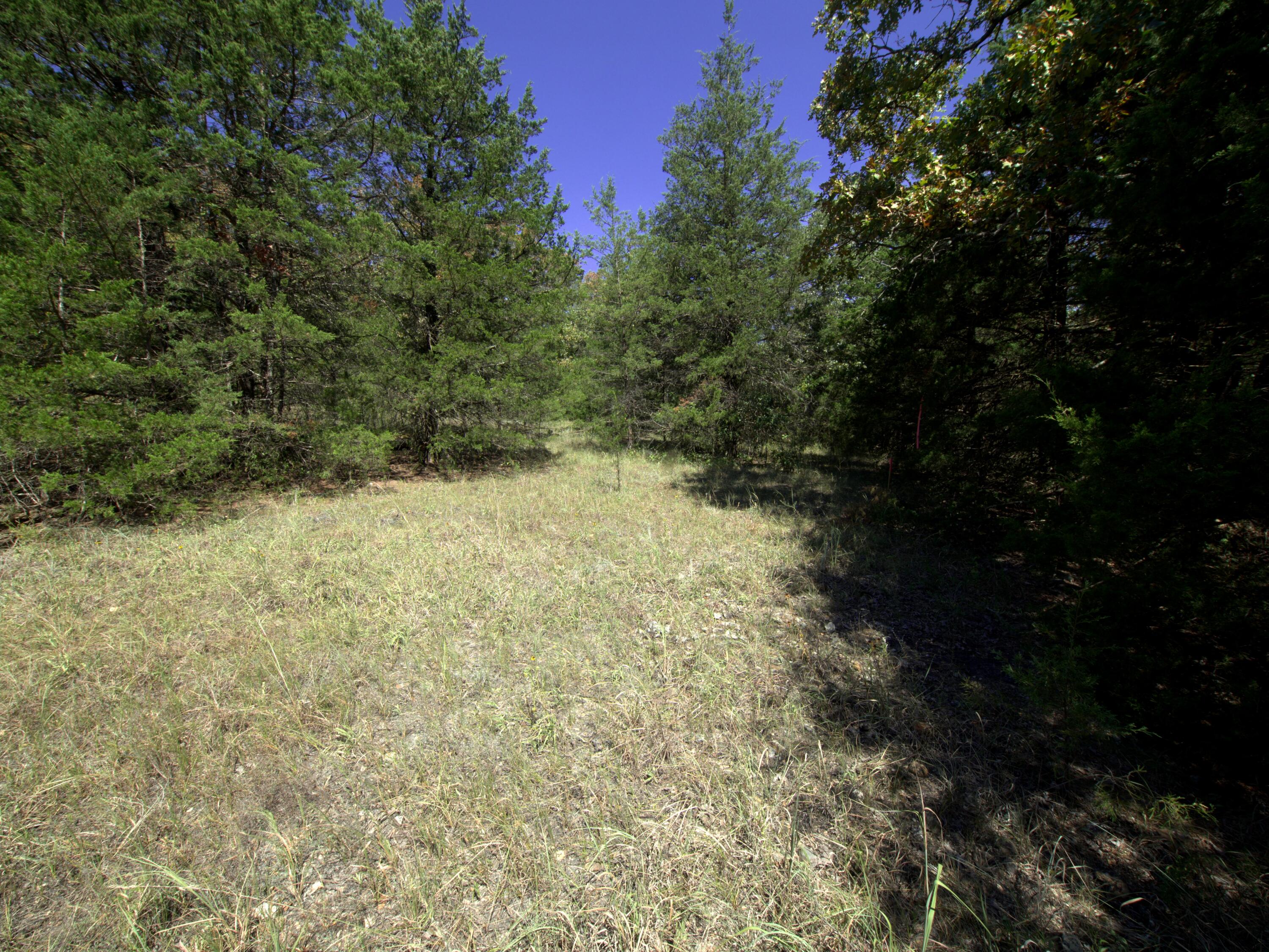 Photo 37 - Land for sale – Tract 2-4  Simpson Rd   Urbana, MO
