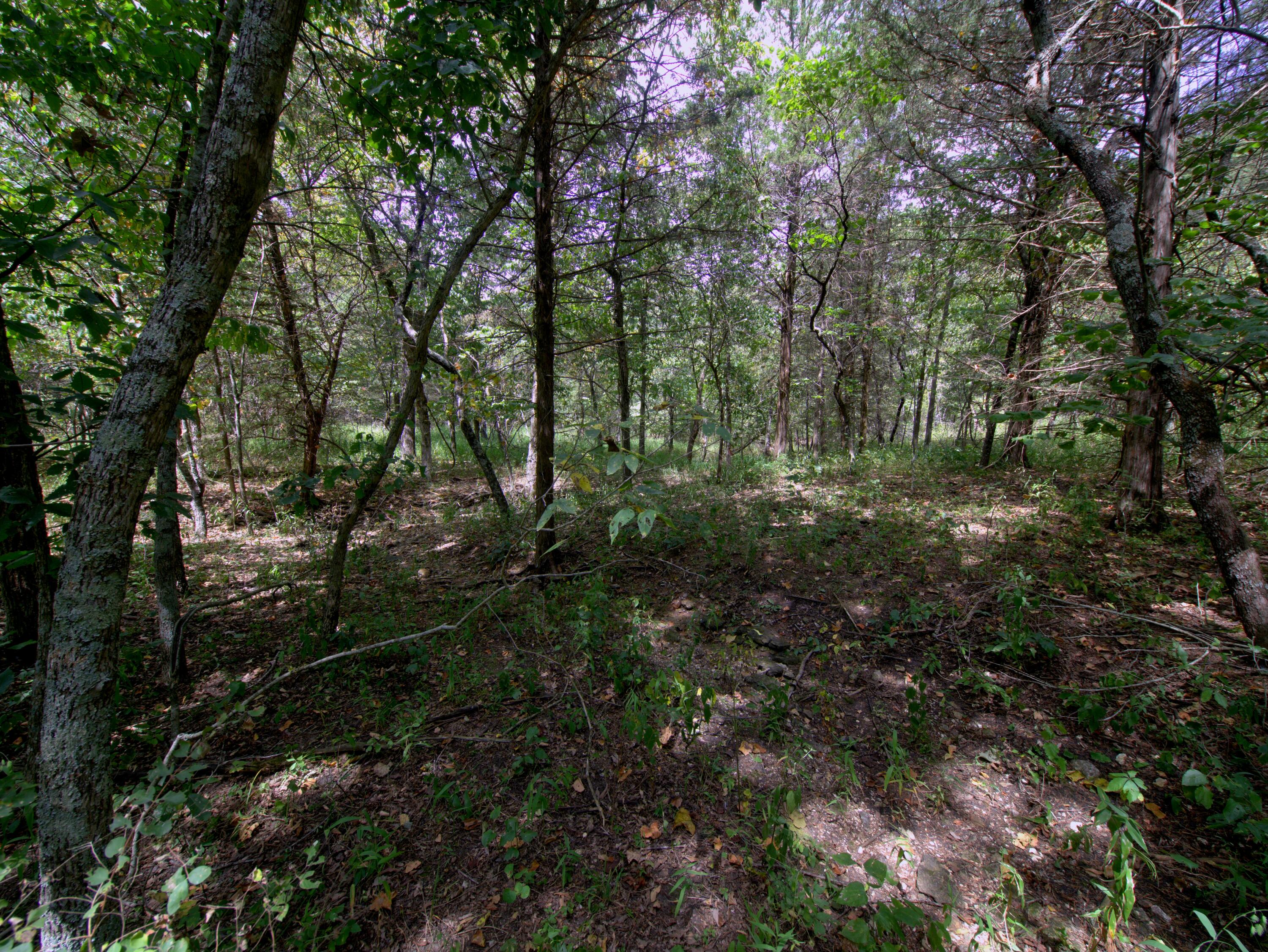Photo 11 - Land for sale – Tract 2-4  Simpson Rd   Urbana, MO
