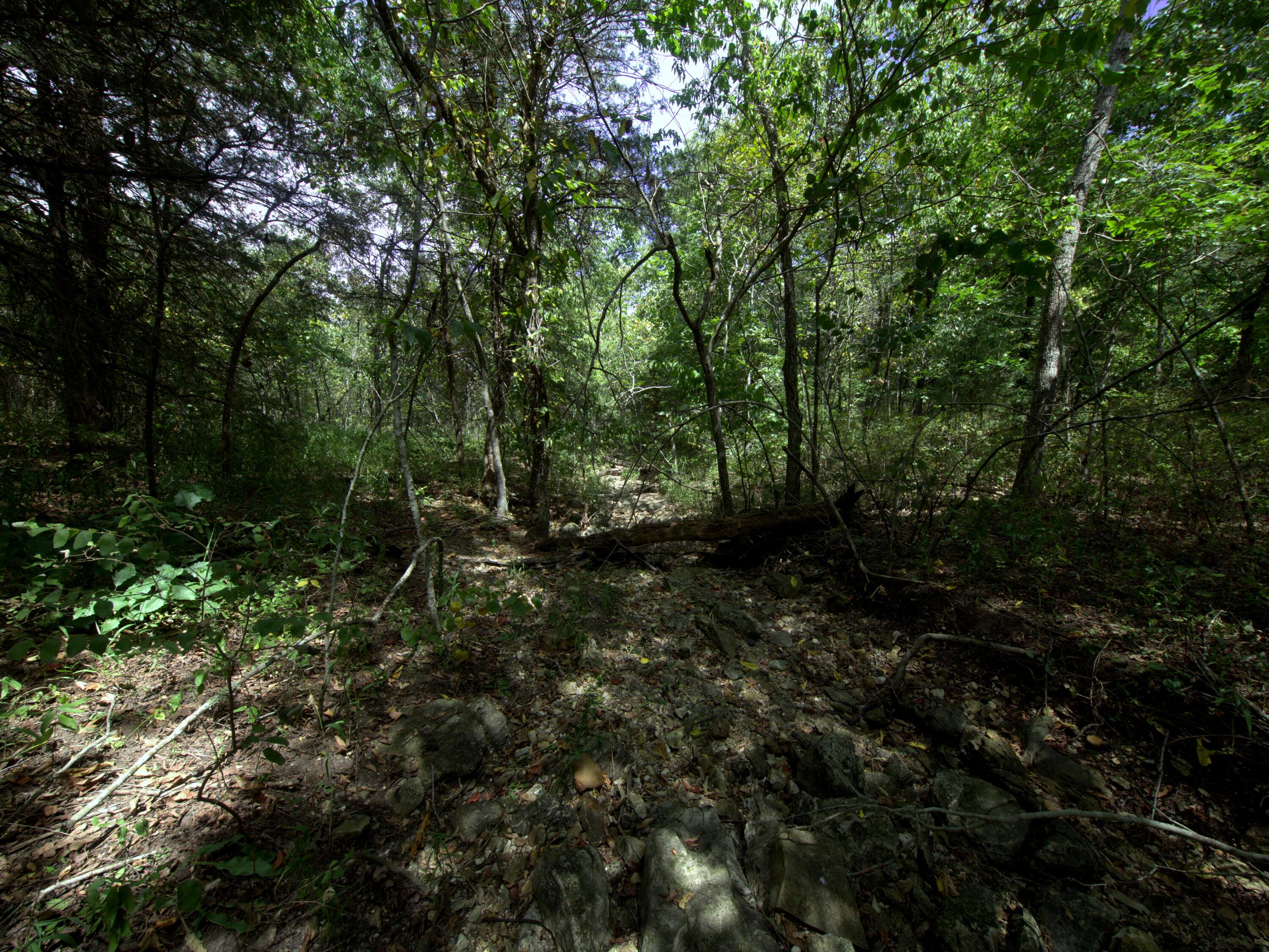 Photo 10 - Land for sale – Tract 2-4  Simpson Rd   Urbana, MO