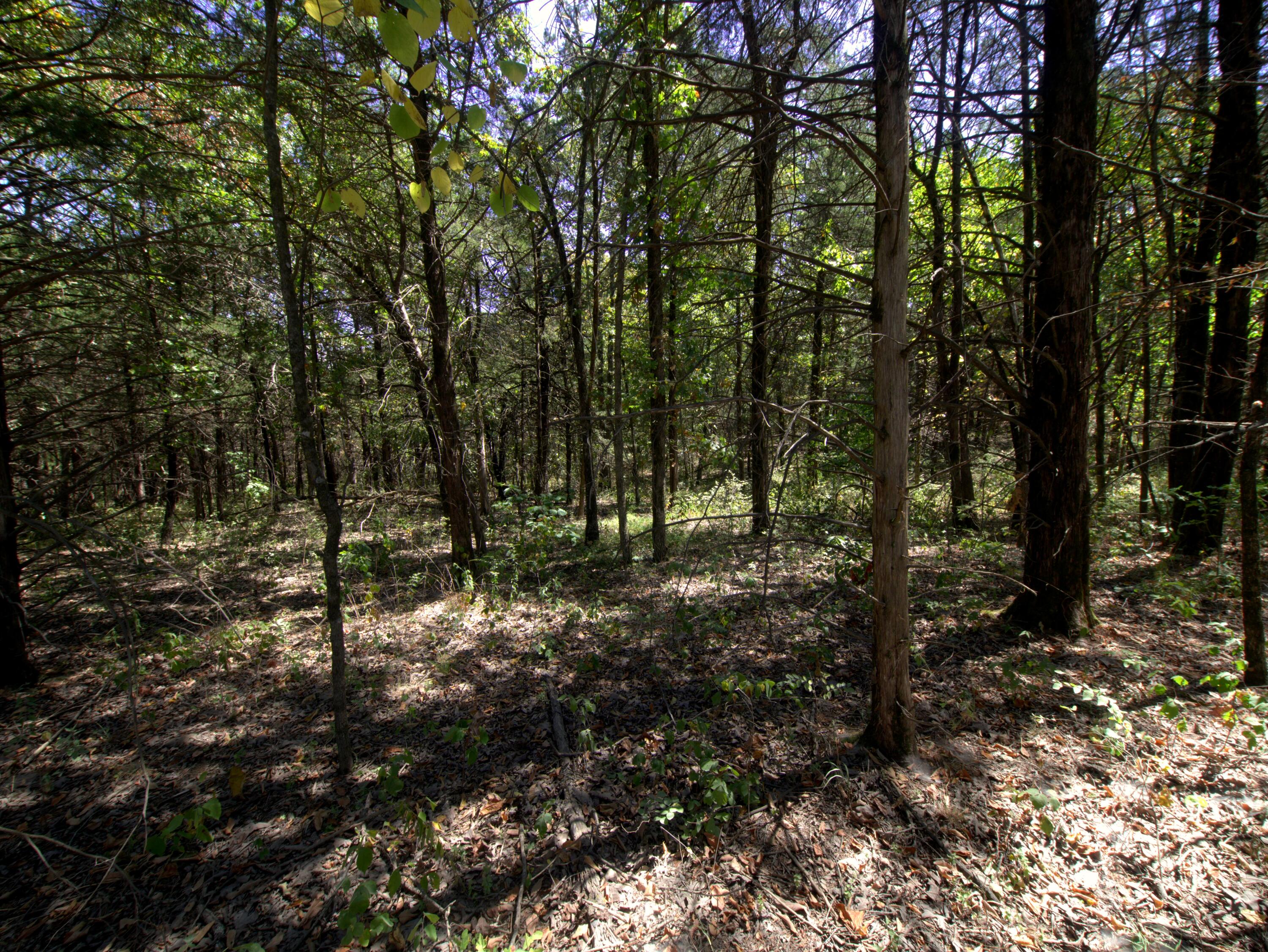 Photo 34 - Land for sale – Tract 2-4  Simpson Rd   Urbana, MO