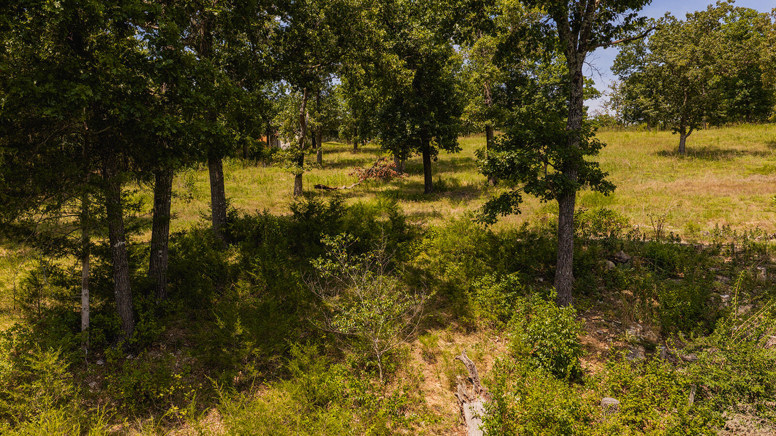 Photo 6 - Land for sale – 613  Lake Ranch Road  Kissee Mills, MO