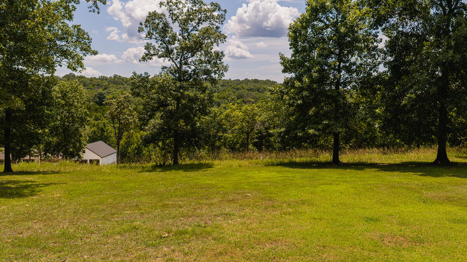Photo 8 - Land for sale – 613  Lake Ranch Road  Kissee Mills, MO