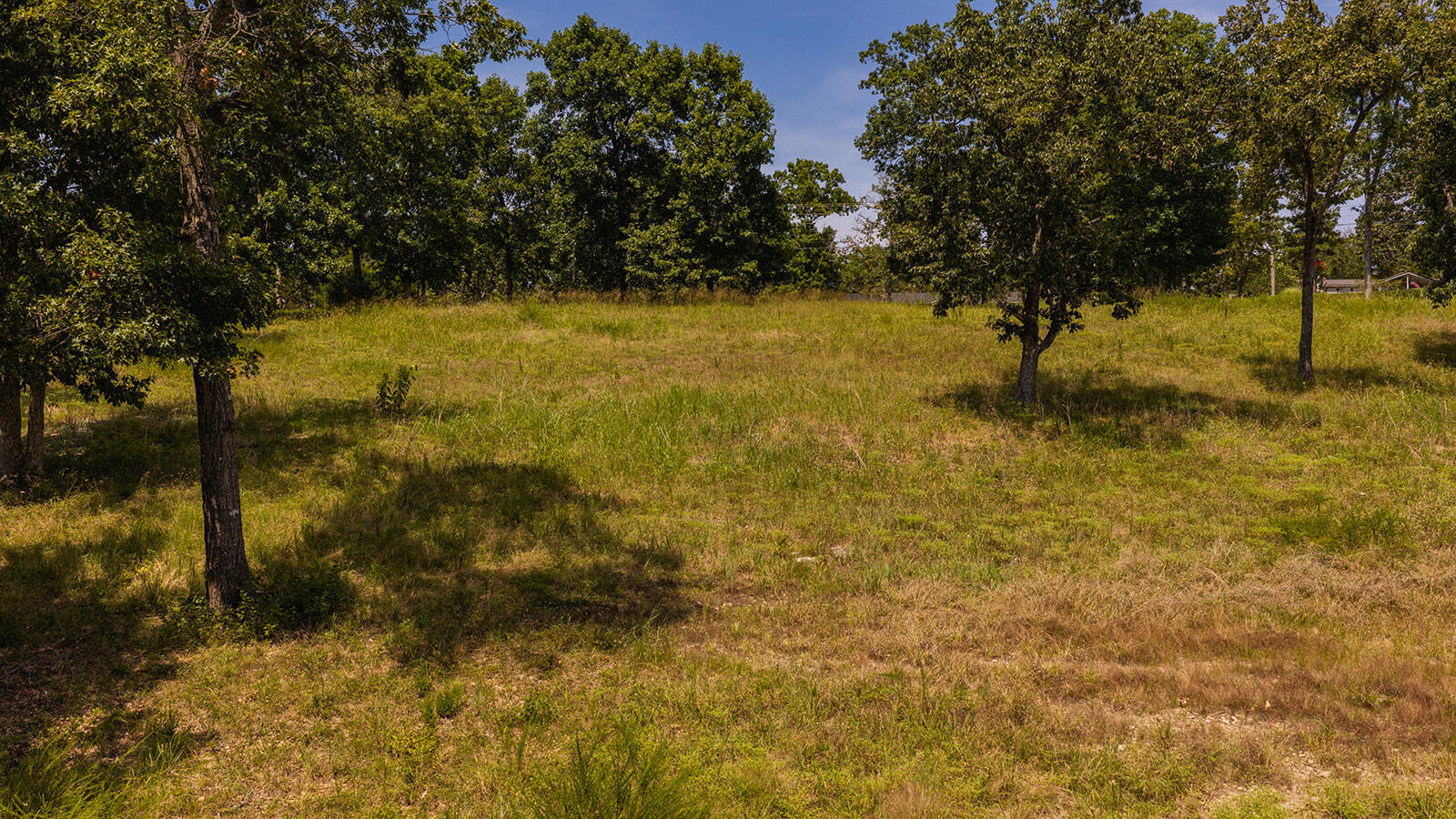 Photo 7 - Land for sale – 613  Lake Ranch Road  Kissee Mills, MO