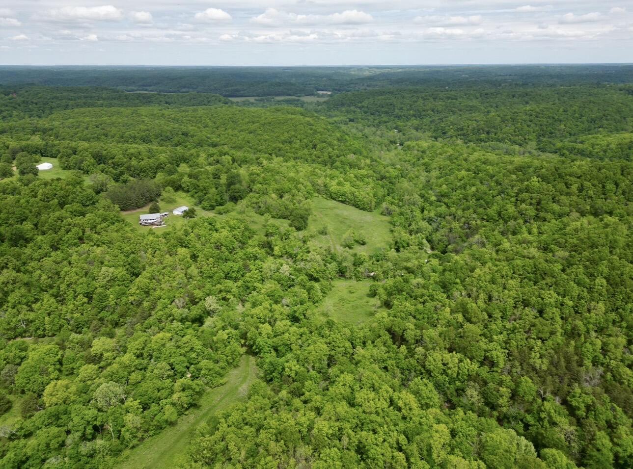 Photo 5 - Residential for sale – 795  Anthony Road  Pineville, MO