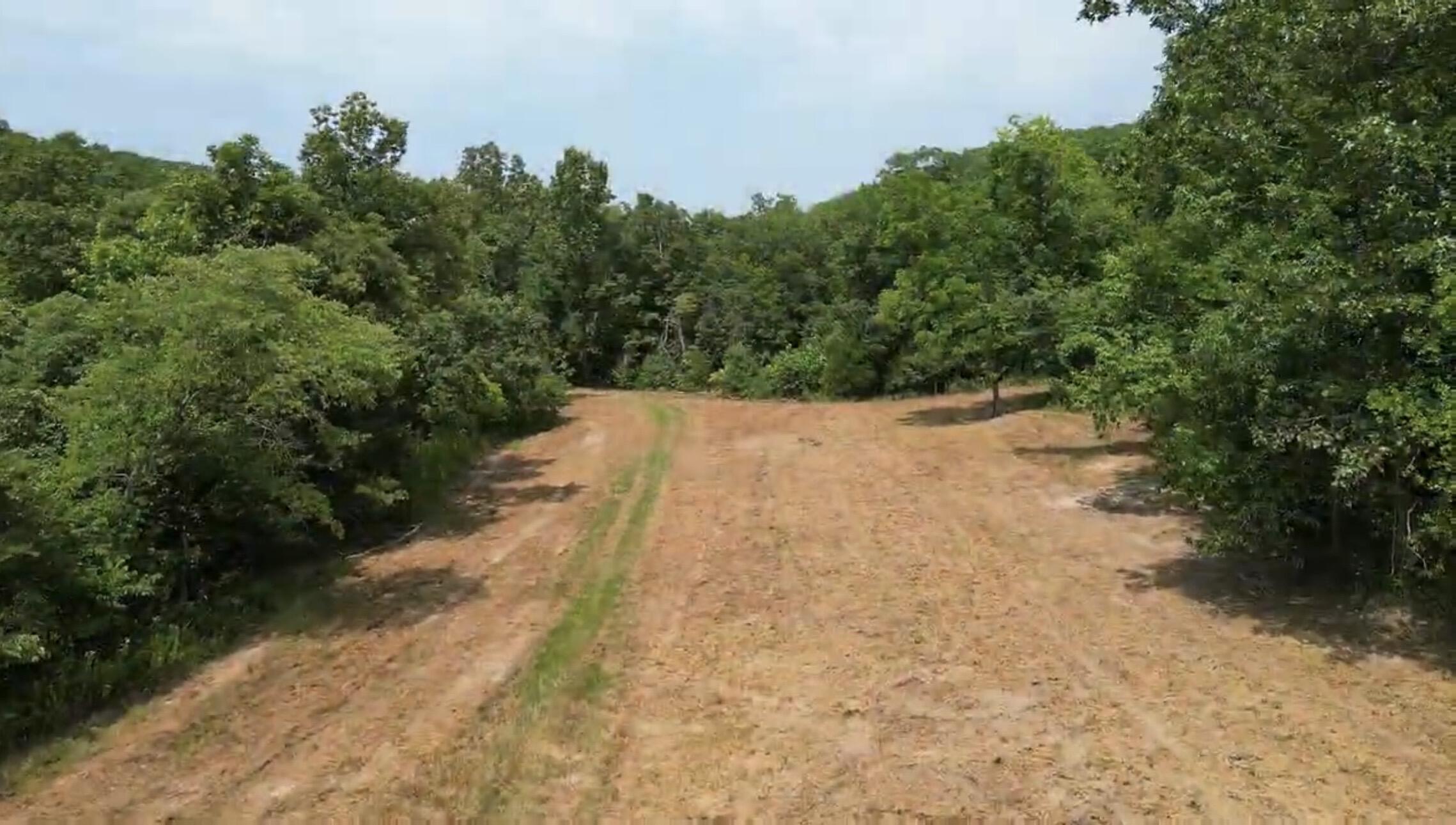 Photo 6 - Residential for sale – 795  Anthony Road  Pineville, MO
