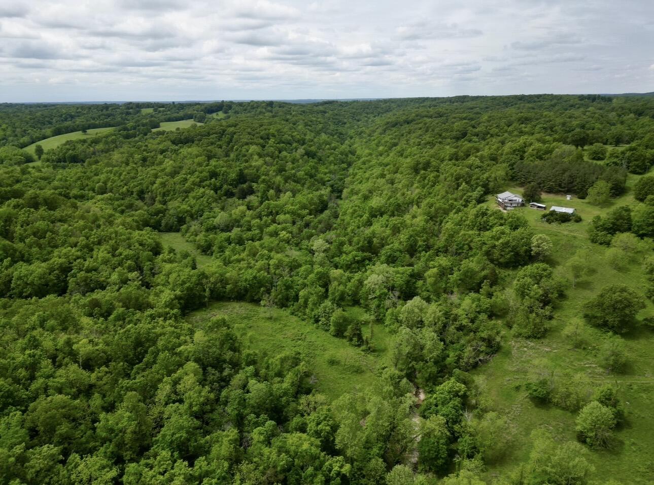 Photo 84 - Residential for sale – 795  Anthony Road  Pineville, MO