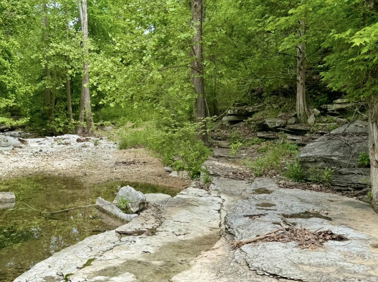 Photo 22 - Residential for sale – 795  Anthony Road  Pineville, MO