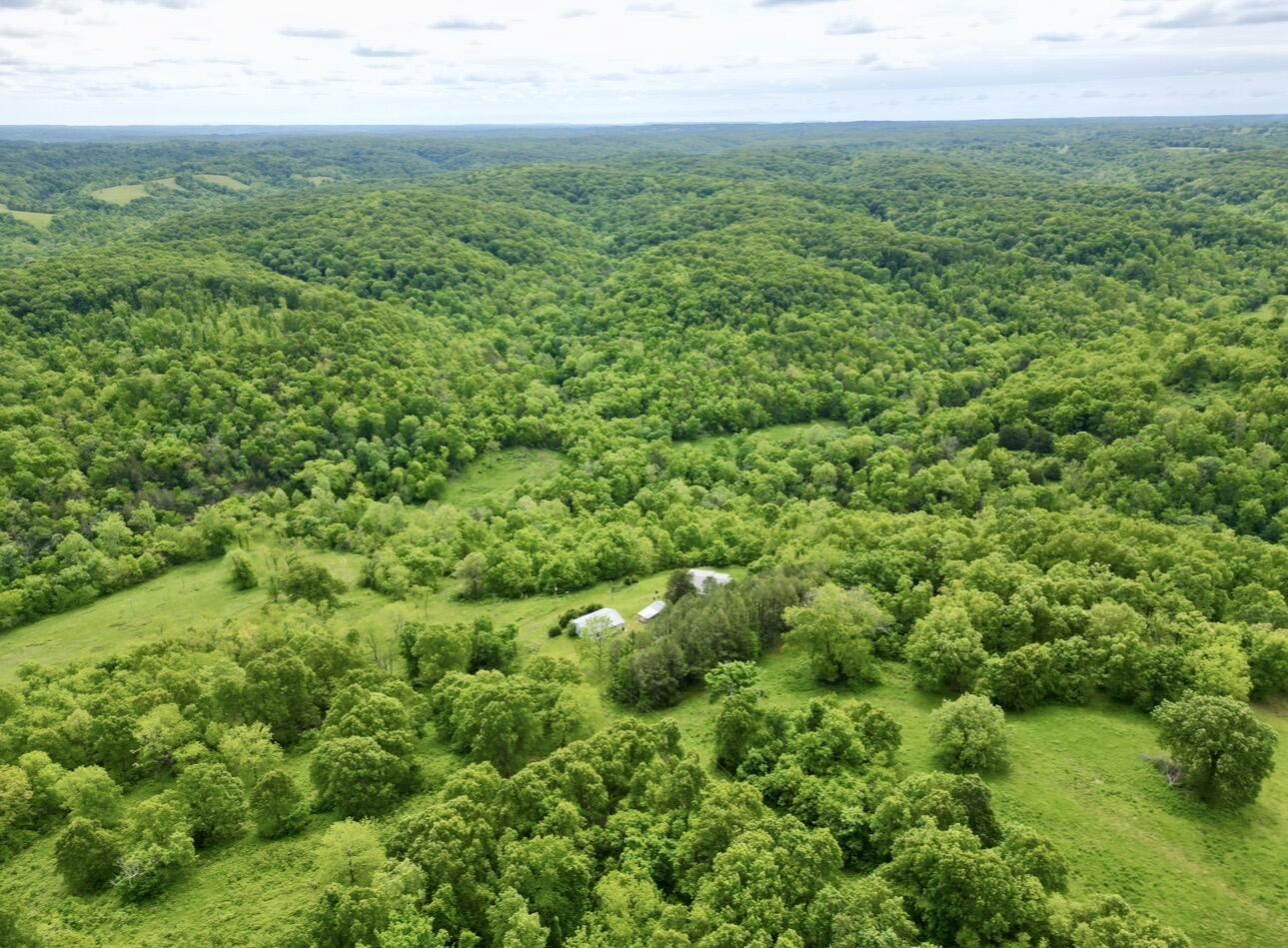Photo 88 - Residential for sale – 795  Anthony Road  Pineville, MO