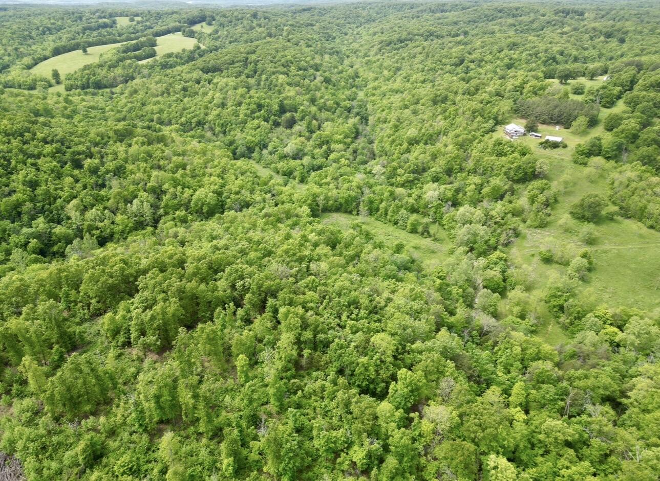 Photo 30 - Residential for sale – 795  Anthony Road  Pineville, MO