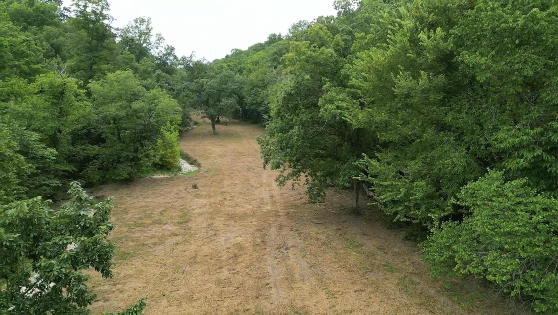 Photo 7 - Residential for sale – 795  Anthony Road  Pineville, MO