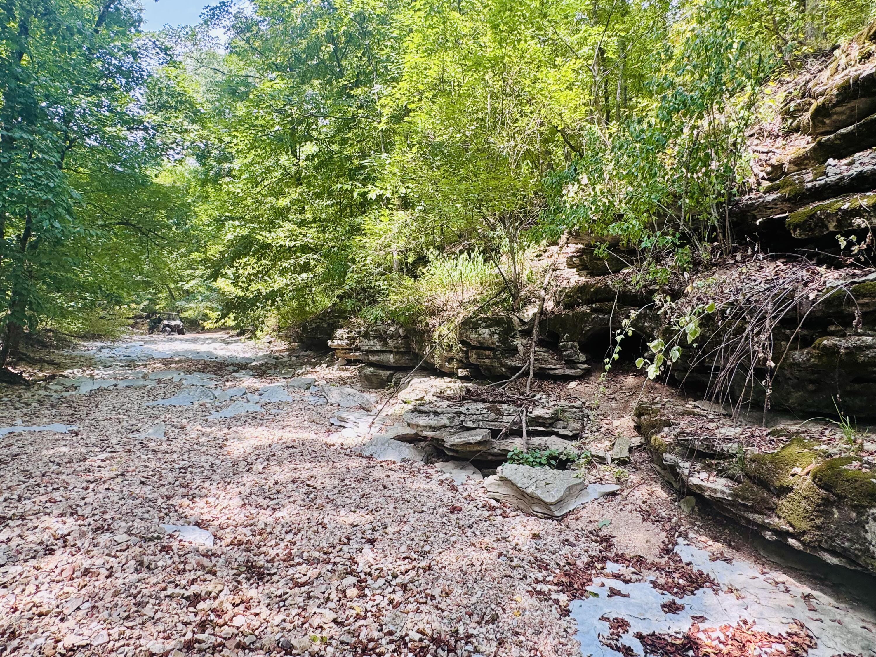 Photo 94 - Residential for sale – 795  Anthony Road  Pineville, MO