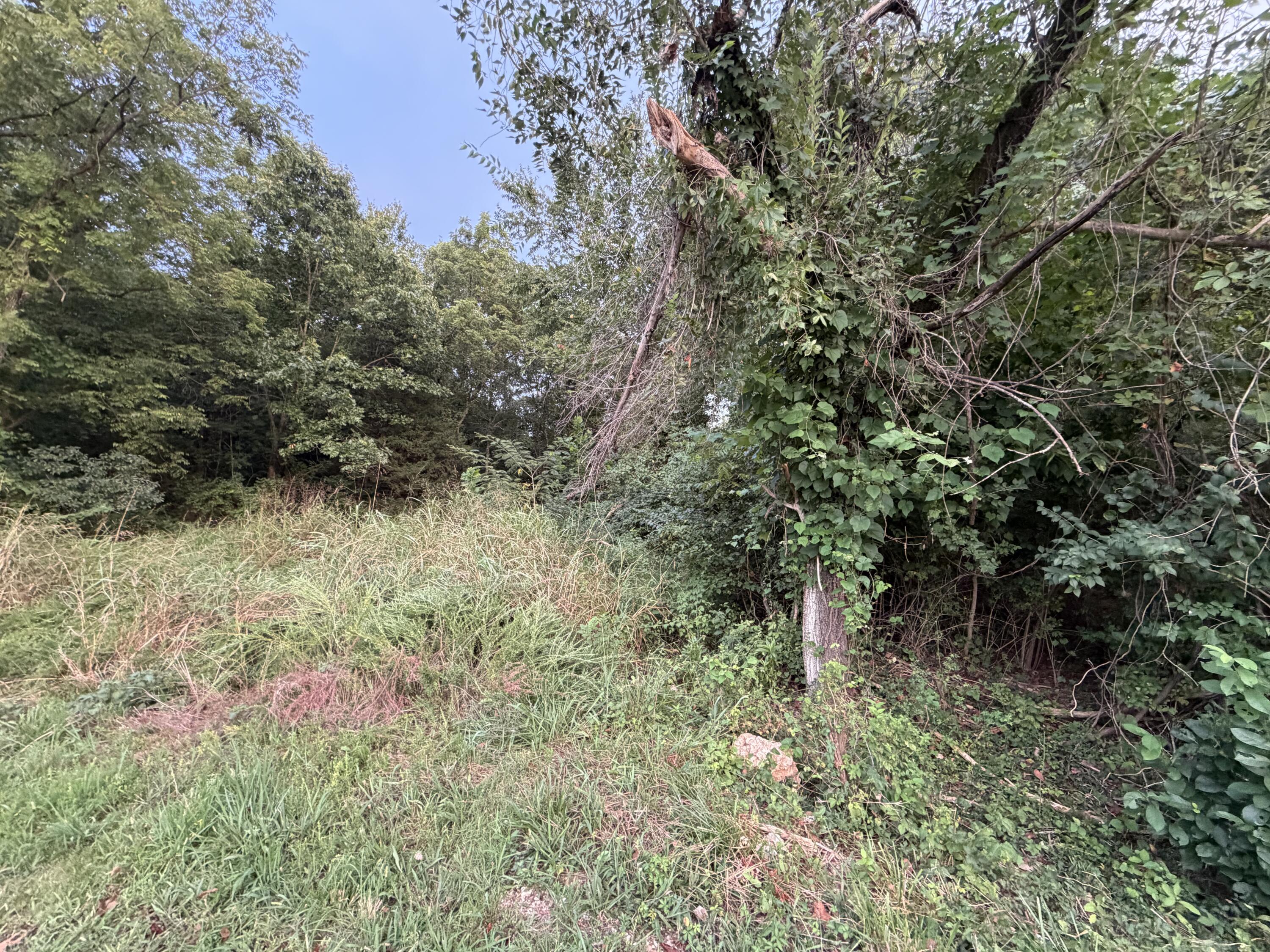 Photo 4 - Land for sale – 000  Horseshoe Lane  Rockaway Beach, MO
