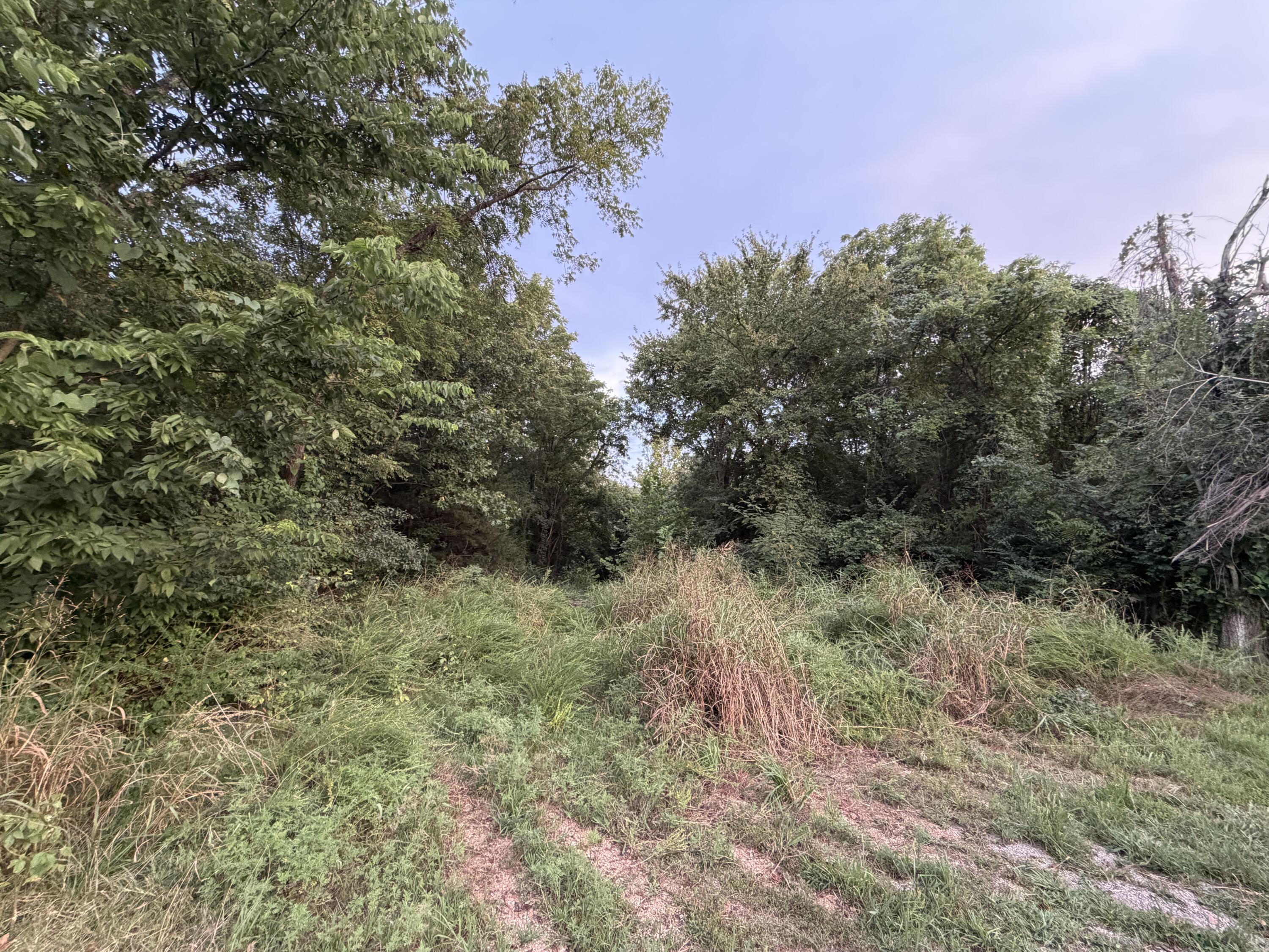 Photo 5 - Land for sale – 000  Horseshoe Lane  Rockaway Beach, MO