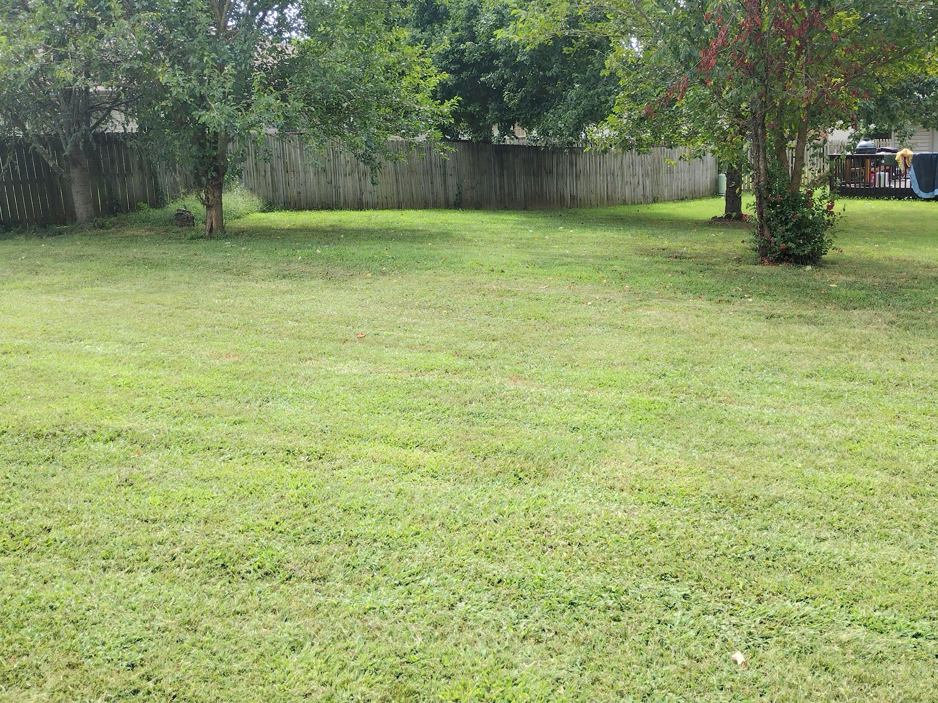 Photo 4 - Residential for sale – 988 W Pembrook Avenue  Nixa, MO