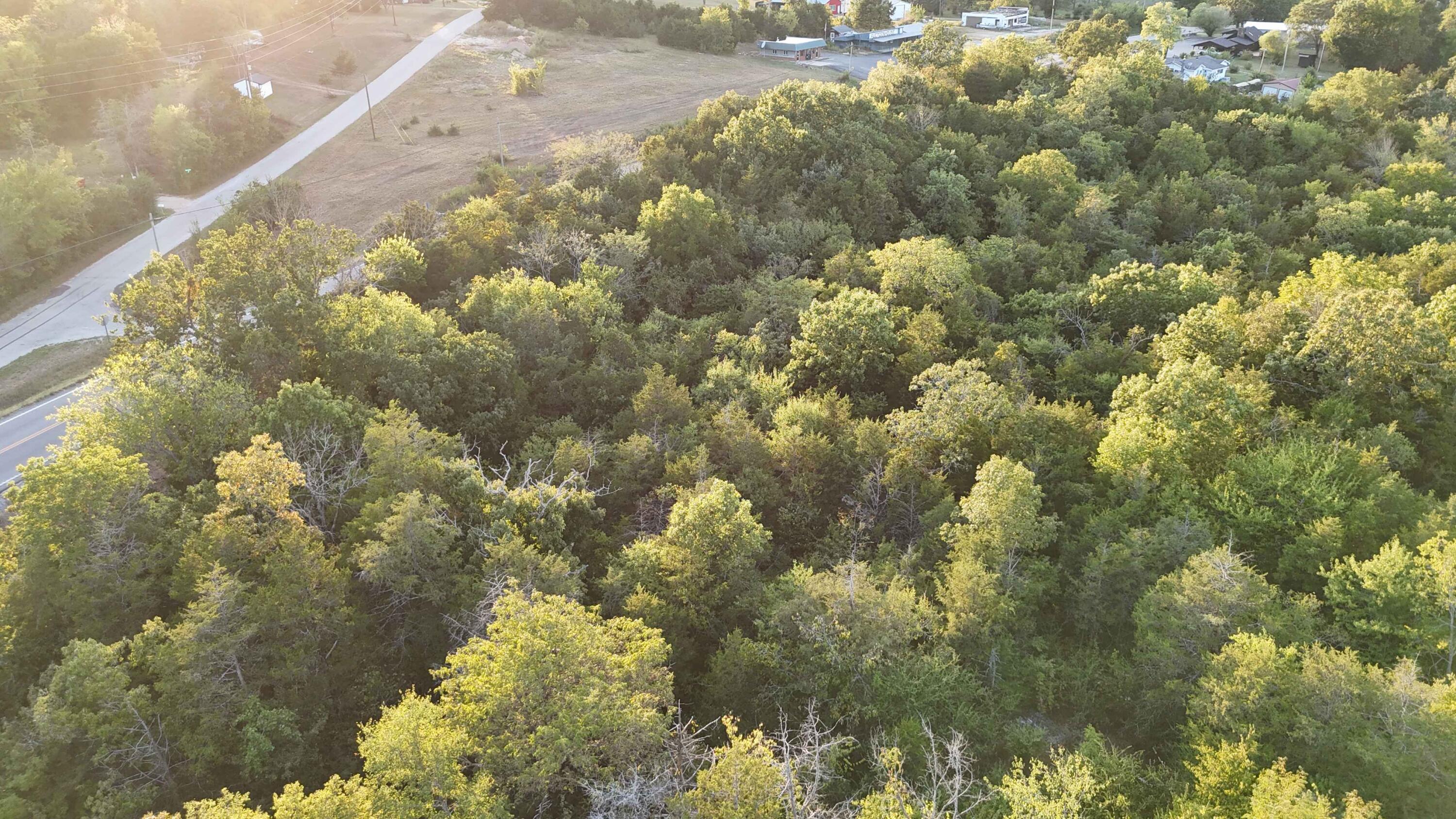 Photo 9 - Land for sale – Lot 13  State Highway 86   Eagle Rock, MO