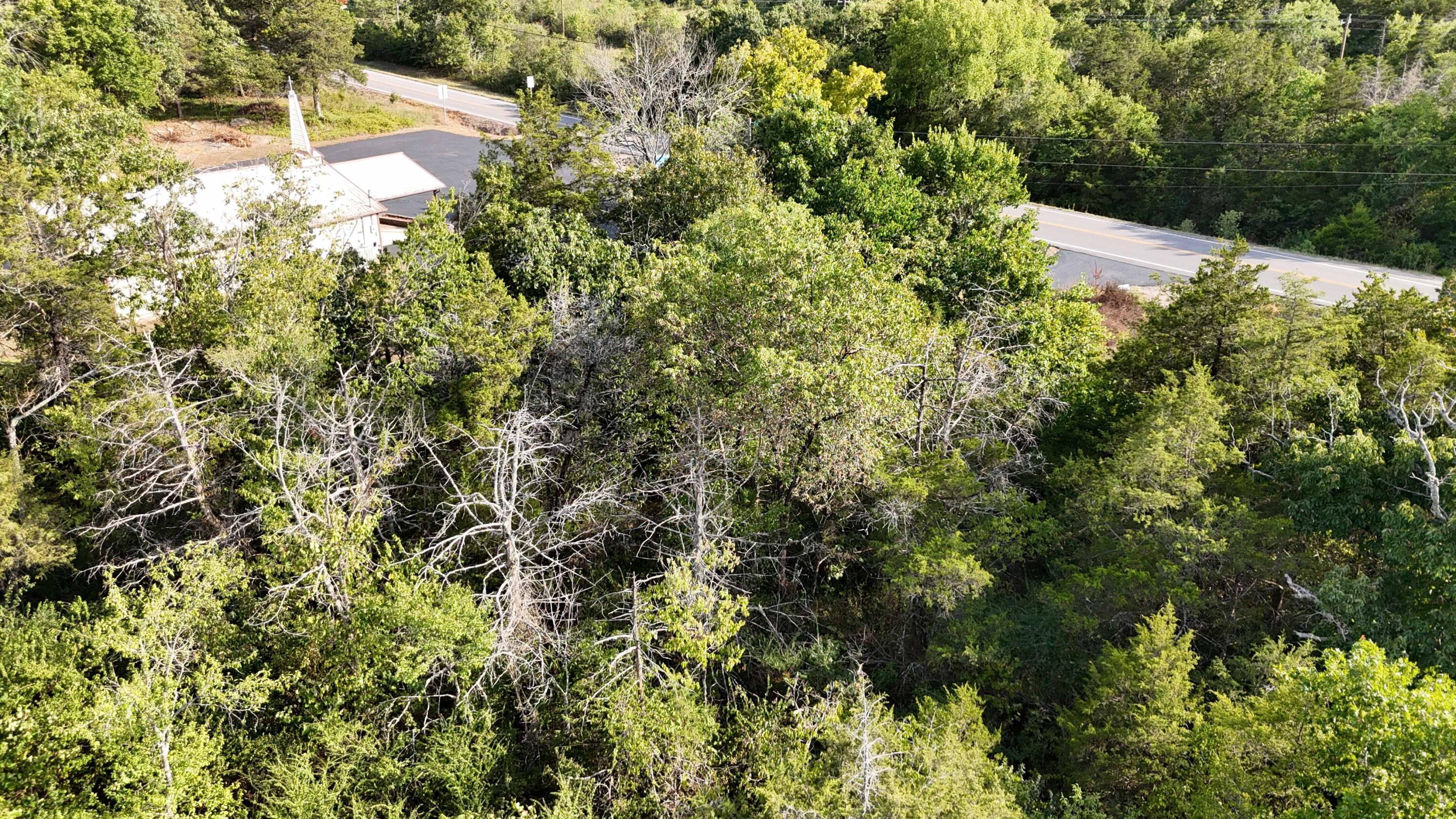Land for sale – Lot 13  State Highway 86   Eagle Rock, MO