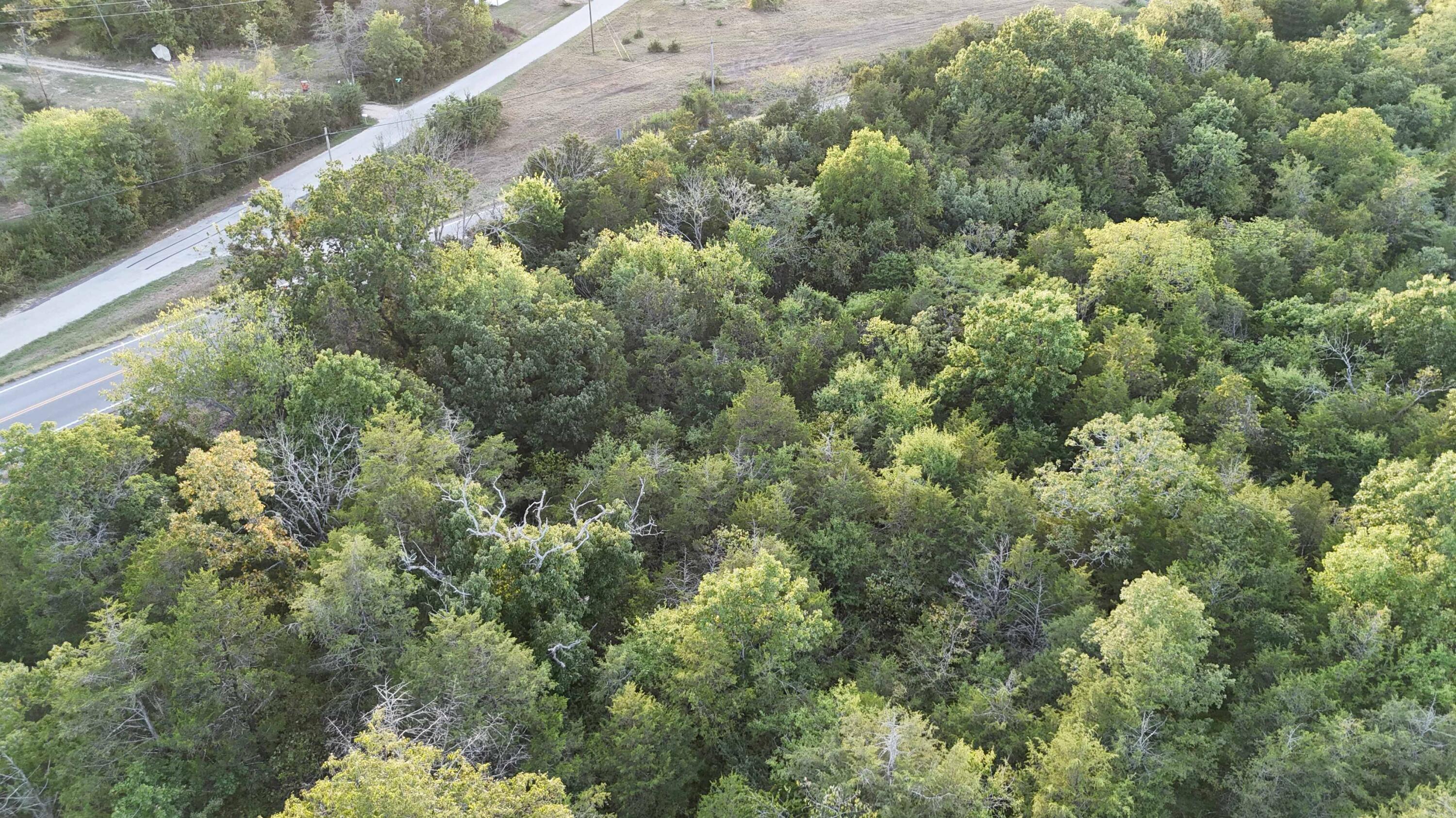 Photo 8 - Land for sale – Lot 13  State Highway 86   Eagle Rock, MO