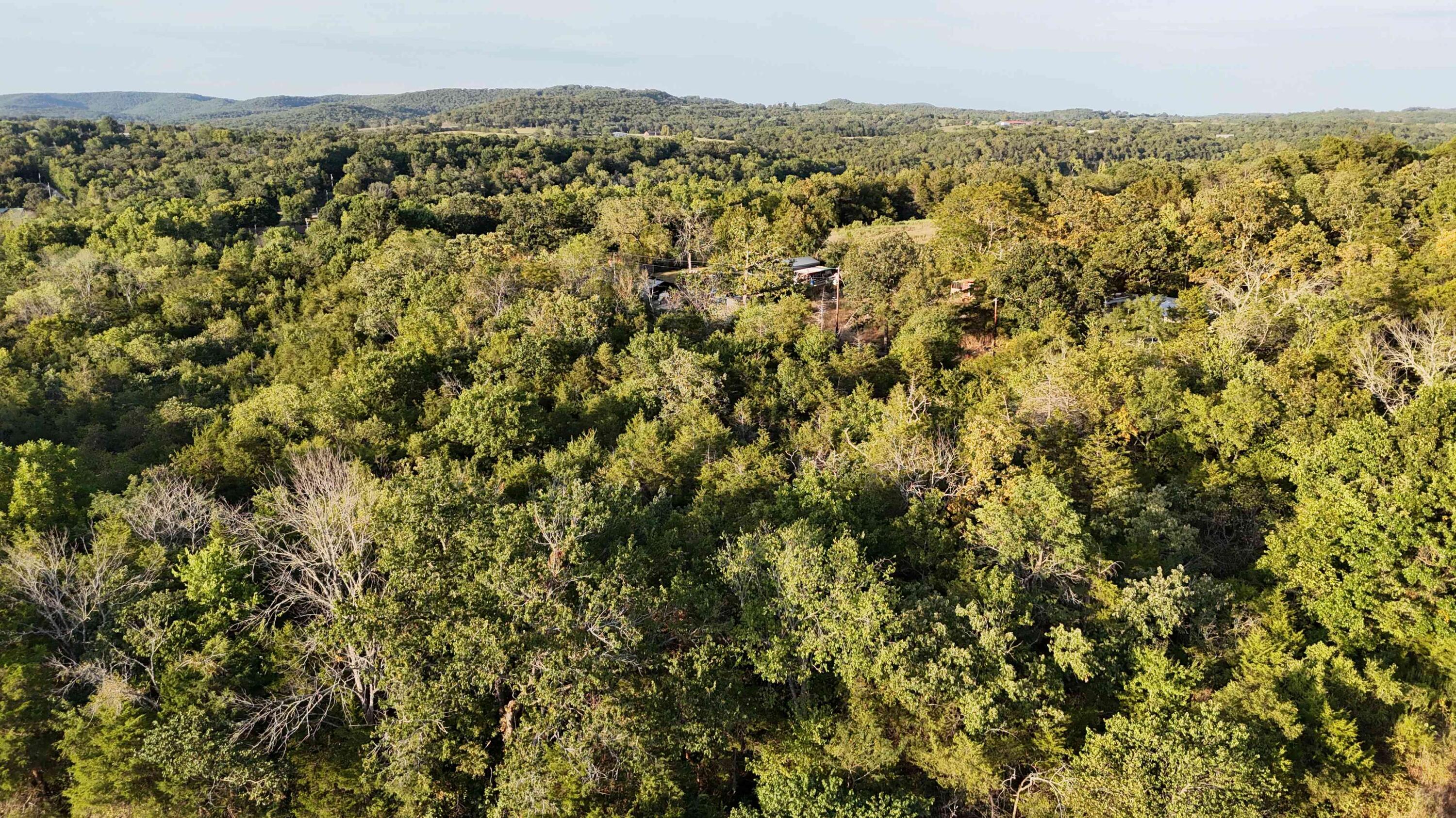 Photo 5 - Land for sale – Lot 13  State Highway 86   Eagle Rock, MO
