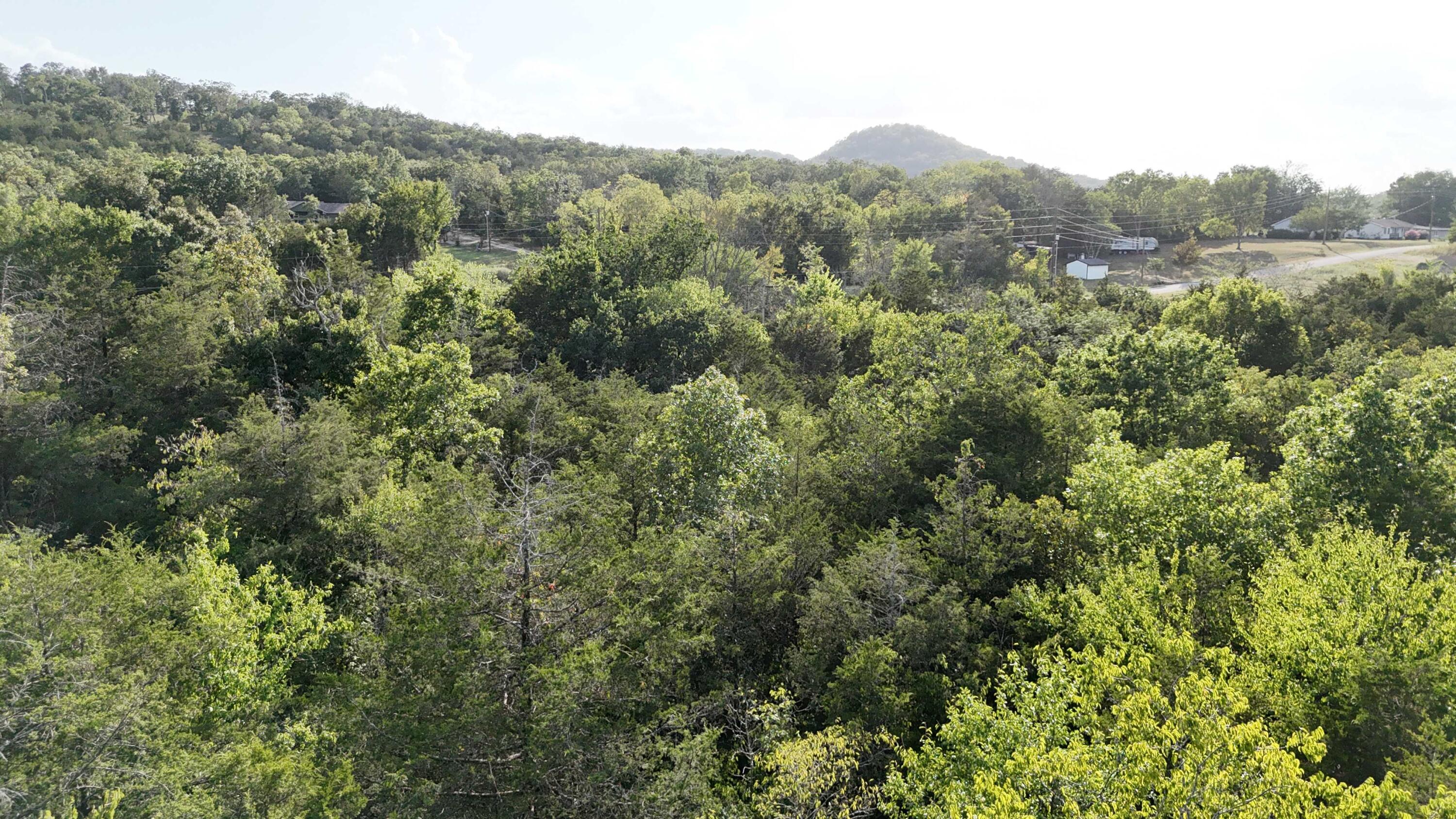 Photo 10 - Land for sale – Lot 13  State Highway 86   Eagle Rock, MO