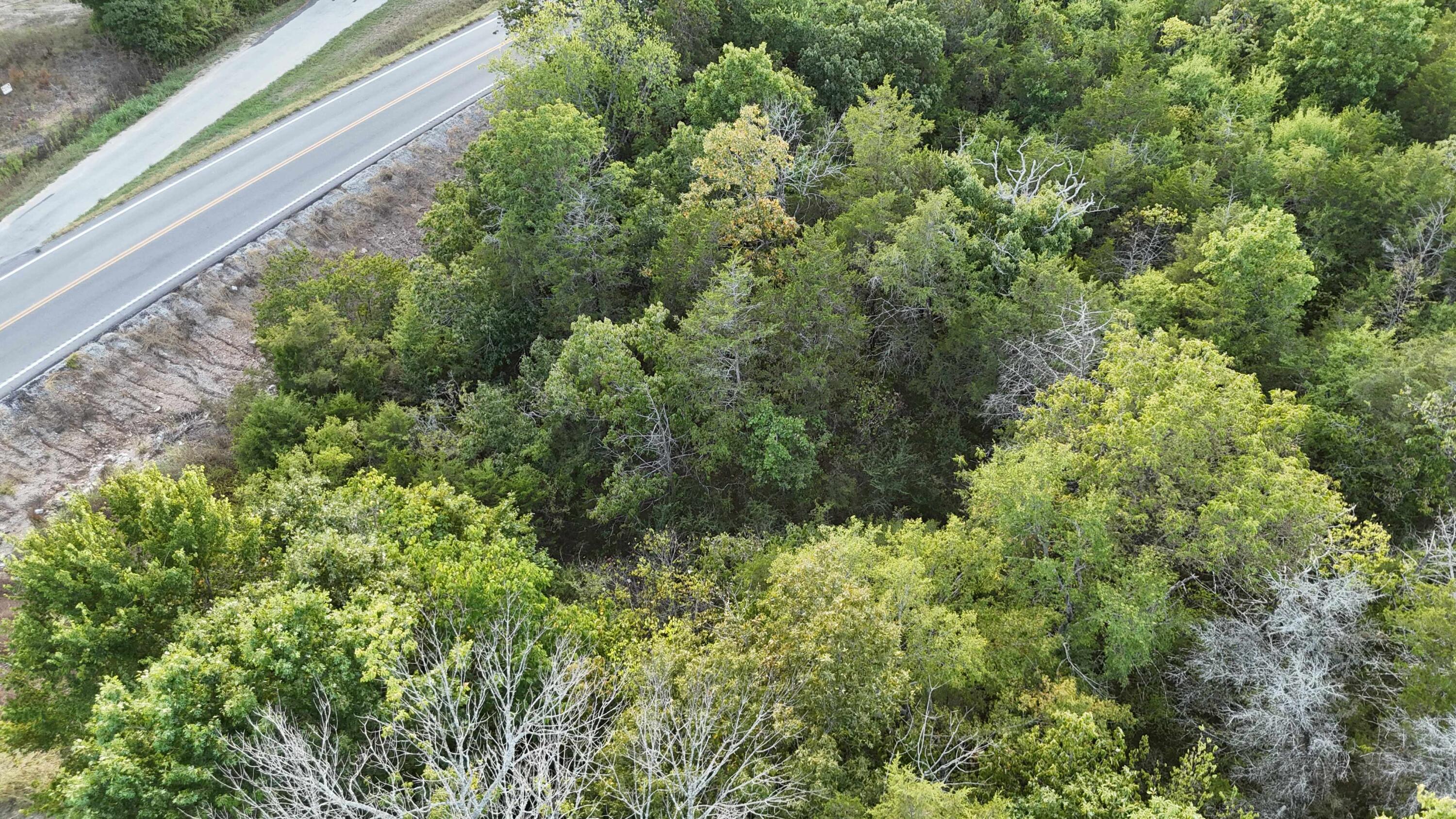 Photo 7 - Land for sale – Lot 13  State Highway 86   Eagle Rock, MO