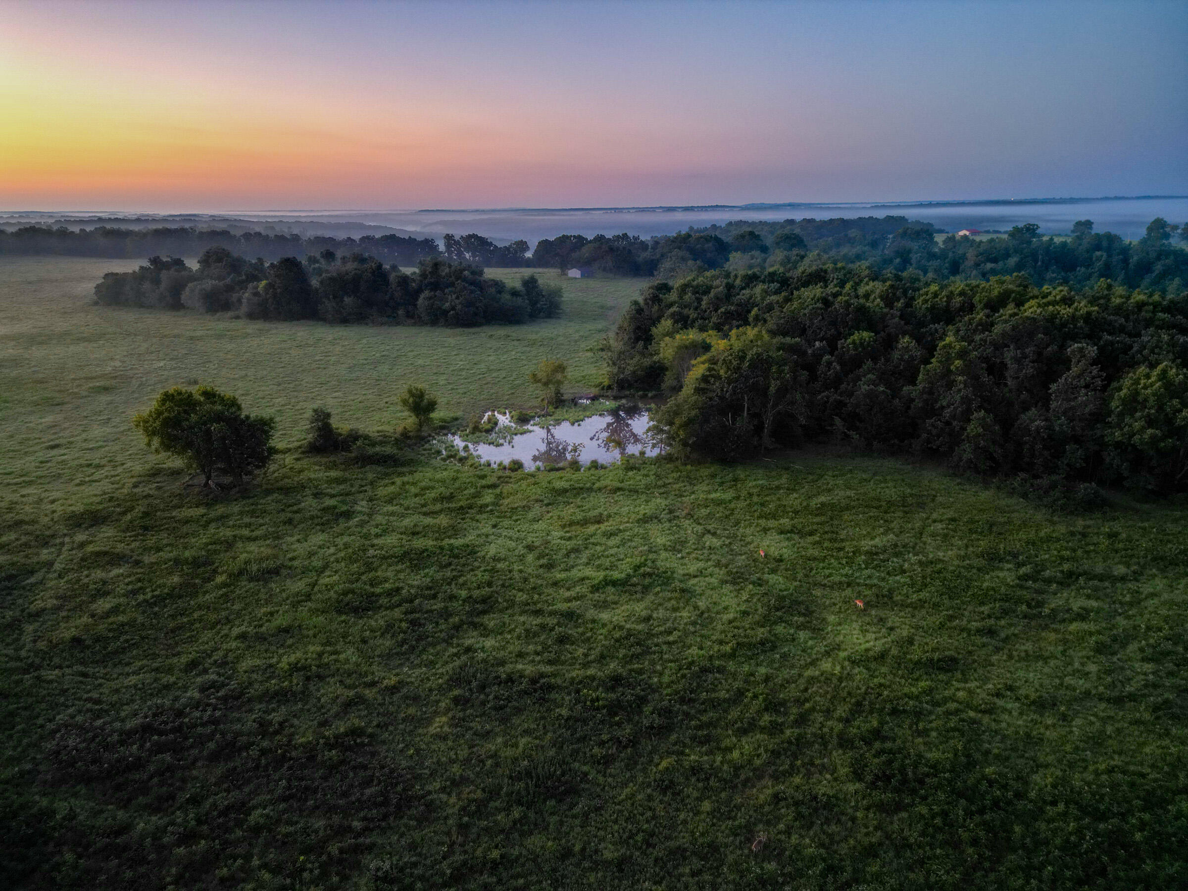 Farm for sale – 000  Grimes Mill Drive  Mountain Grove, MO