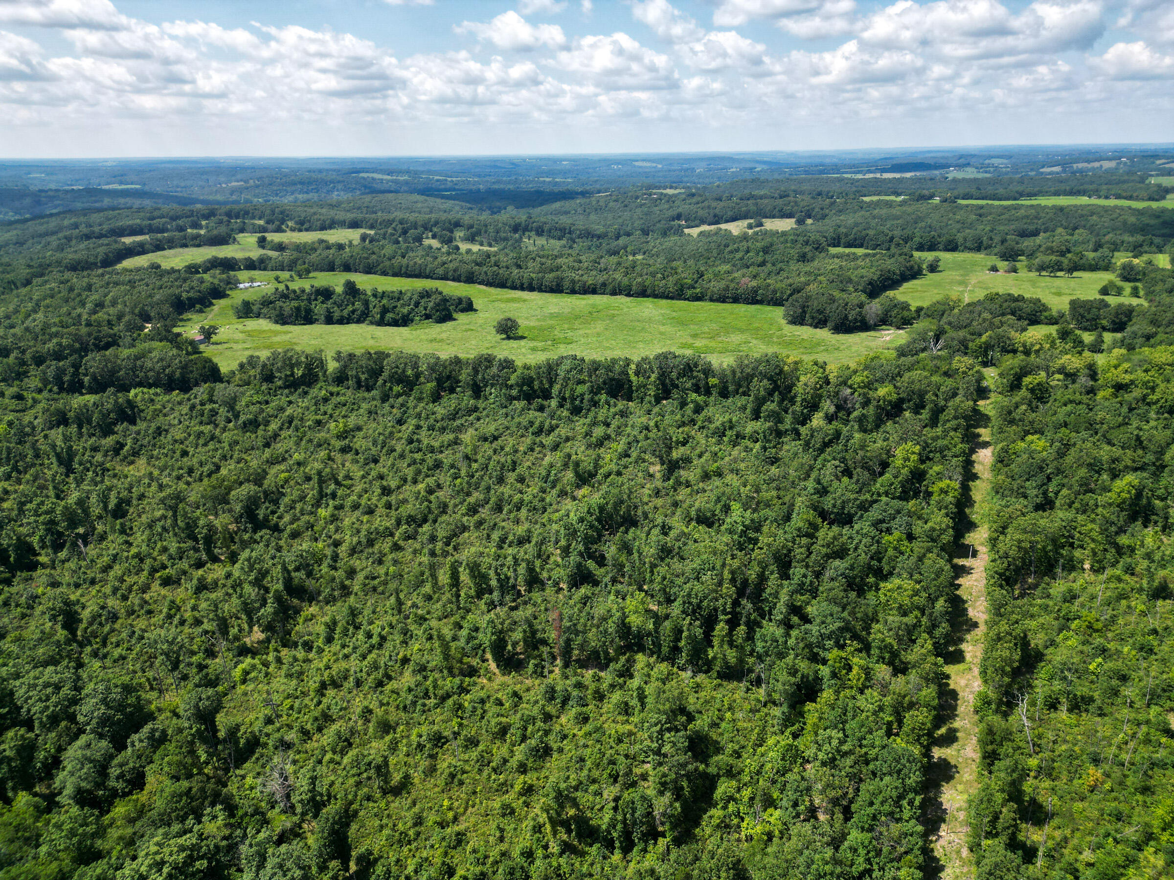Photo 12 - Farm for sale – 000  Grimes Mill Drive  Mountain Grove, MO