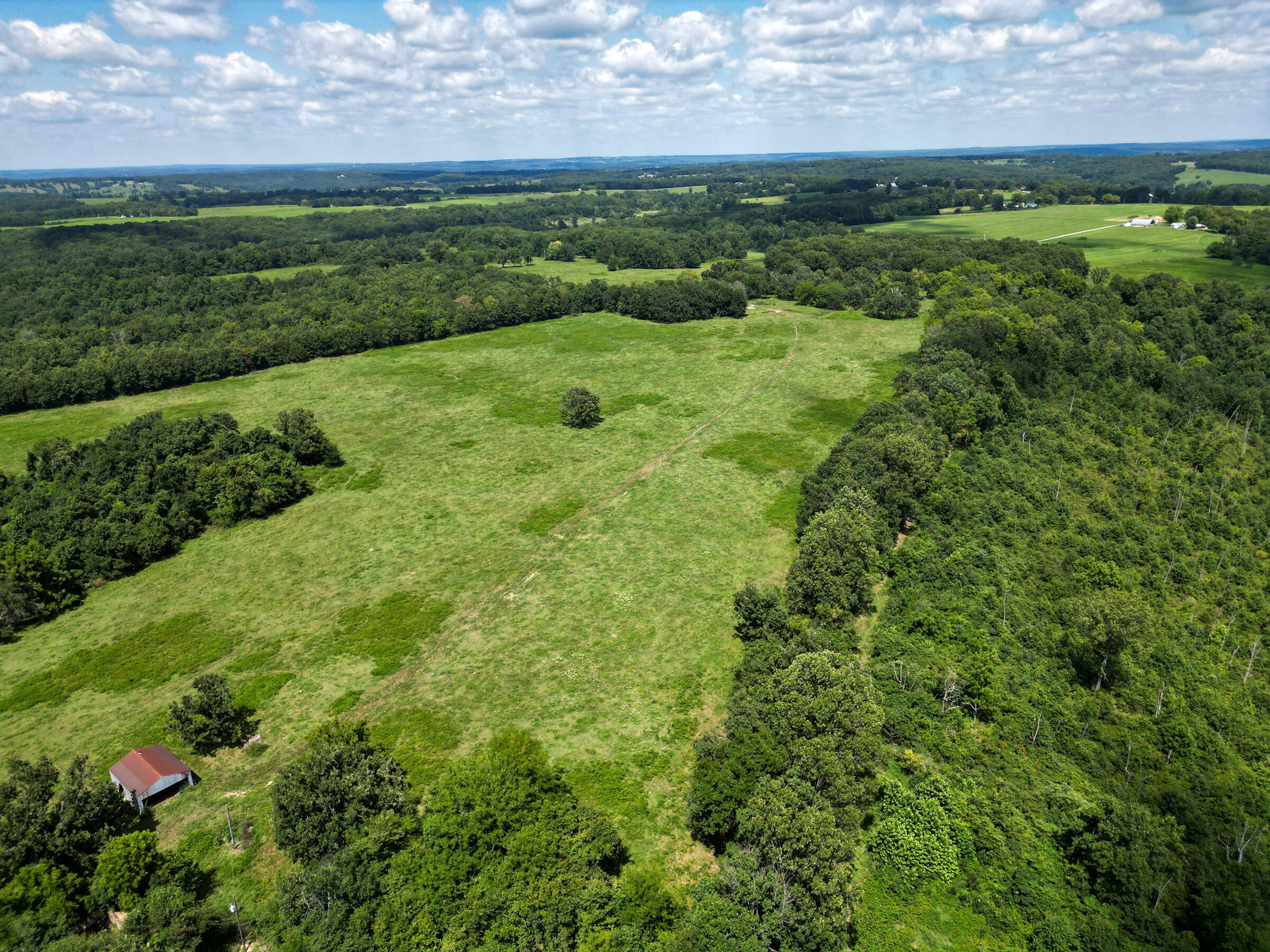 Photo 8 - Farm for sale – 000  Grimes Mill Drive  Mountain Grove, MO