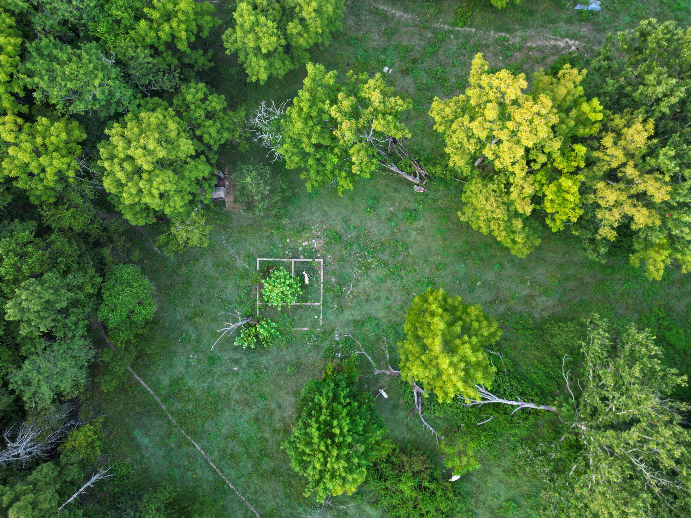 Photo 19 - Farm for sale – 000  Grimes Mill Drive  Mountain Grove, MO