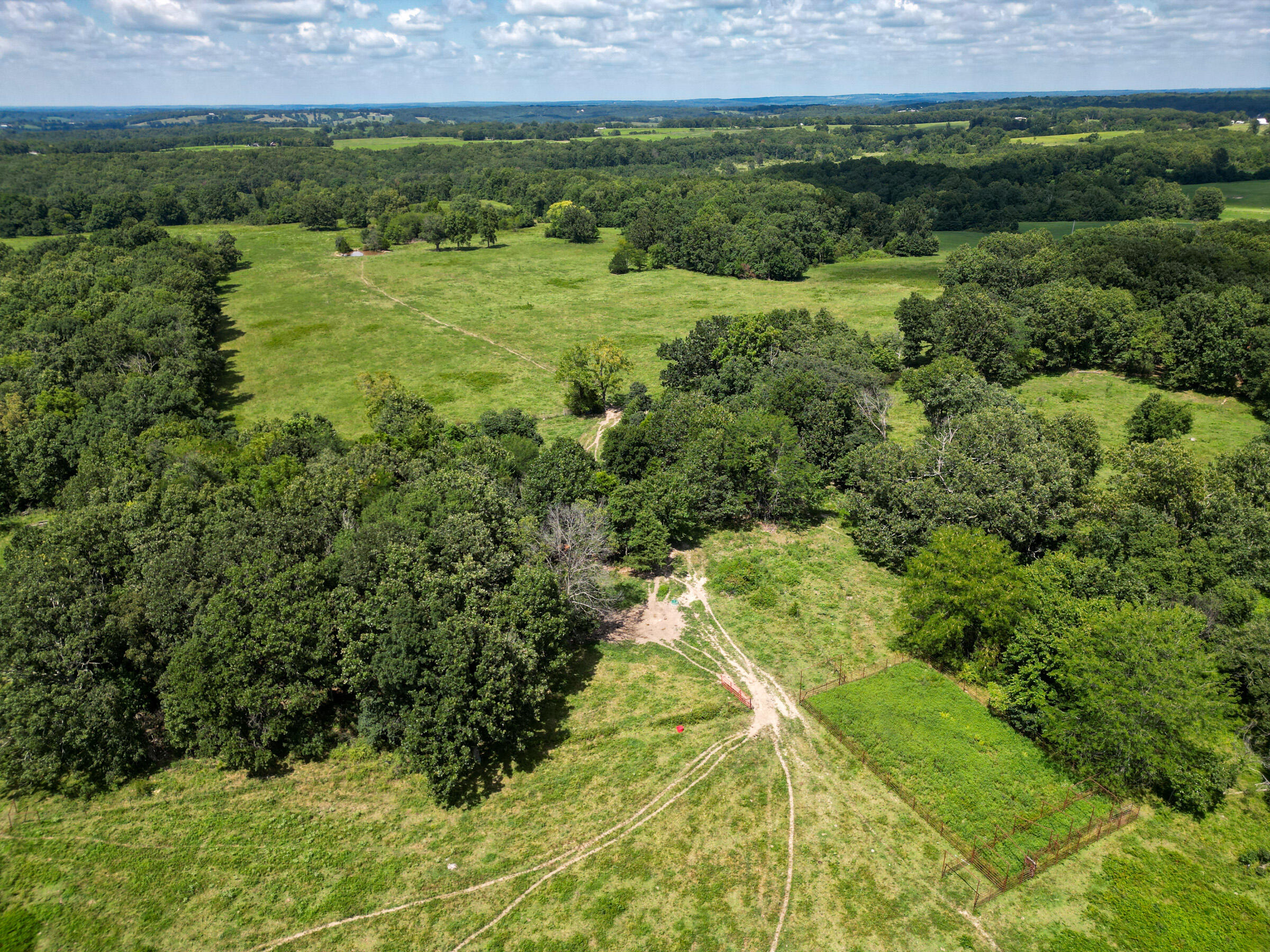 Photo 13 - Farm for sale – 000  Grimes Mill Drive  Mountain Grove, MO
