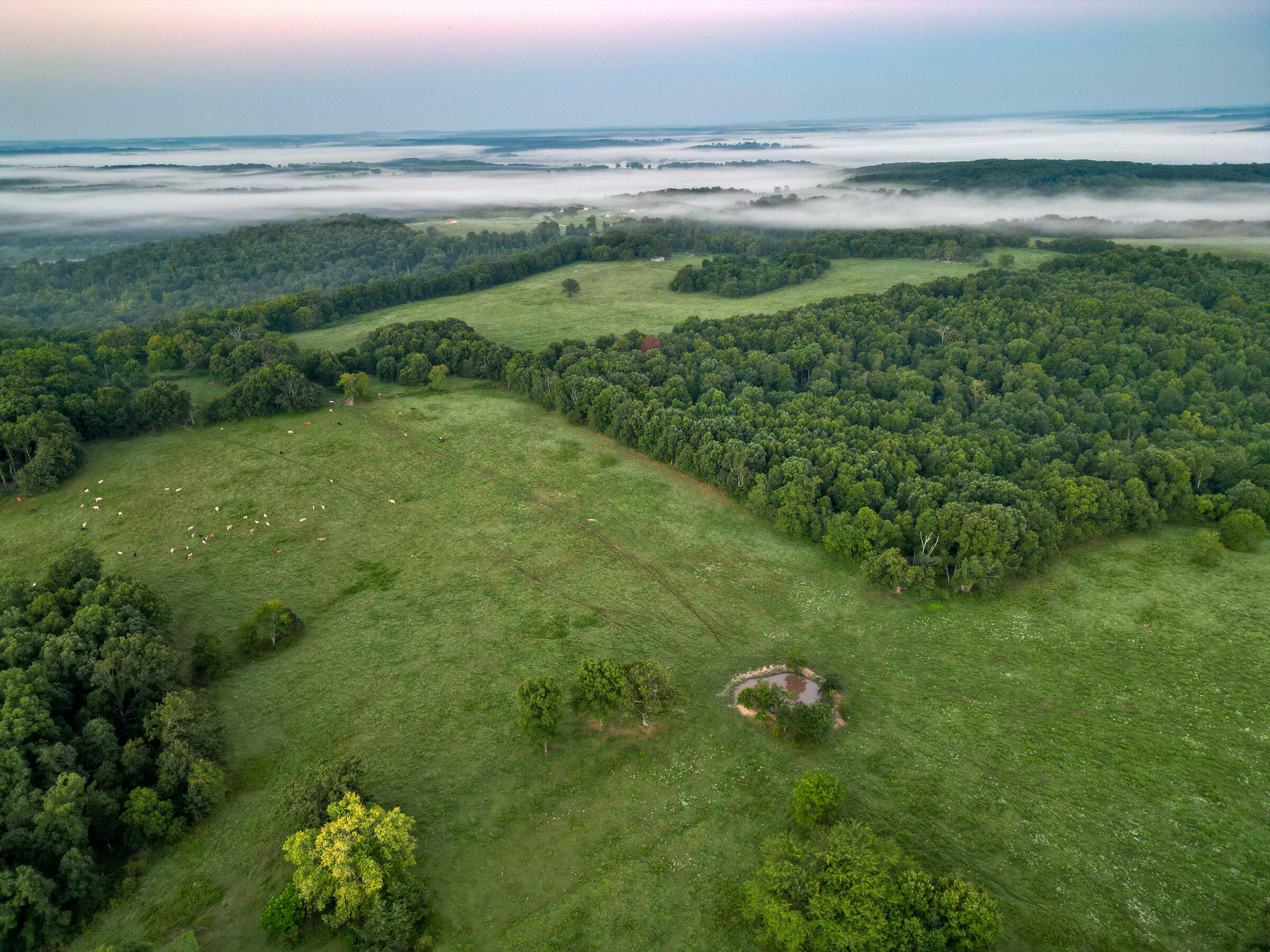 Photo 16 - Farm for sale – 000  Grimes Mill Drive  Mountain Grove, MO