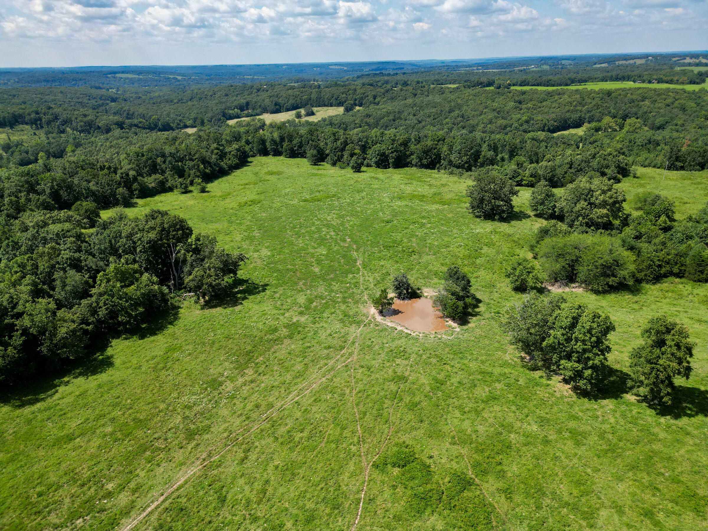 Photo 15 - Farm for sale – 000  Grimes Mill Drive  Mountain Grove, MO