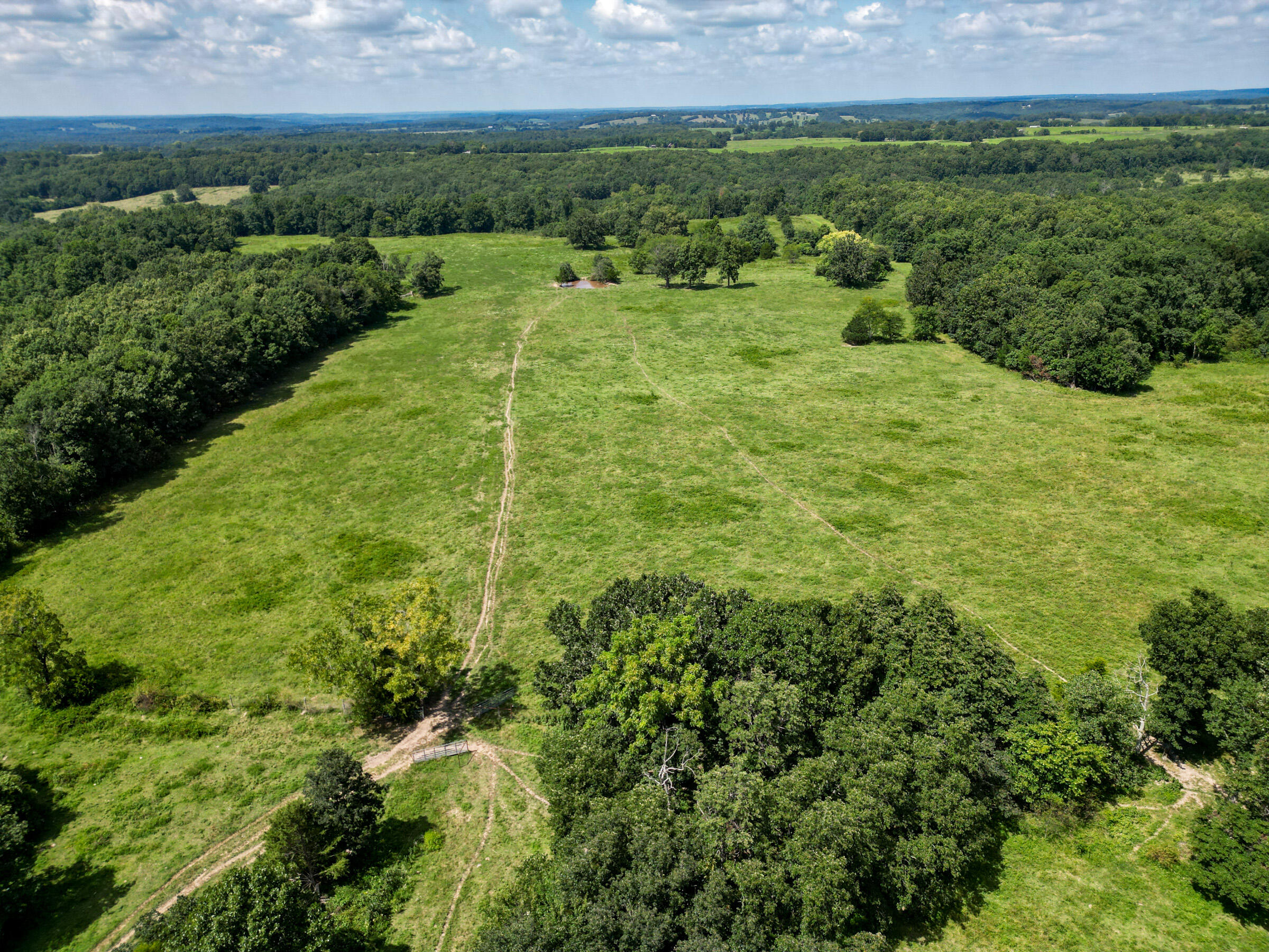 Photo 14 - Farm for sale – 000  Grimes Mill Drive  Mountain Grove, MO