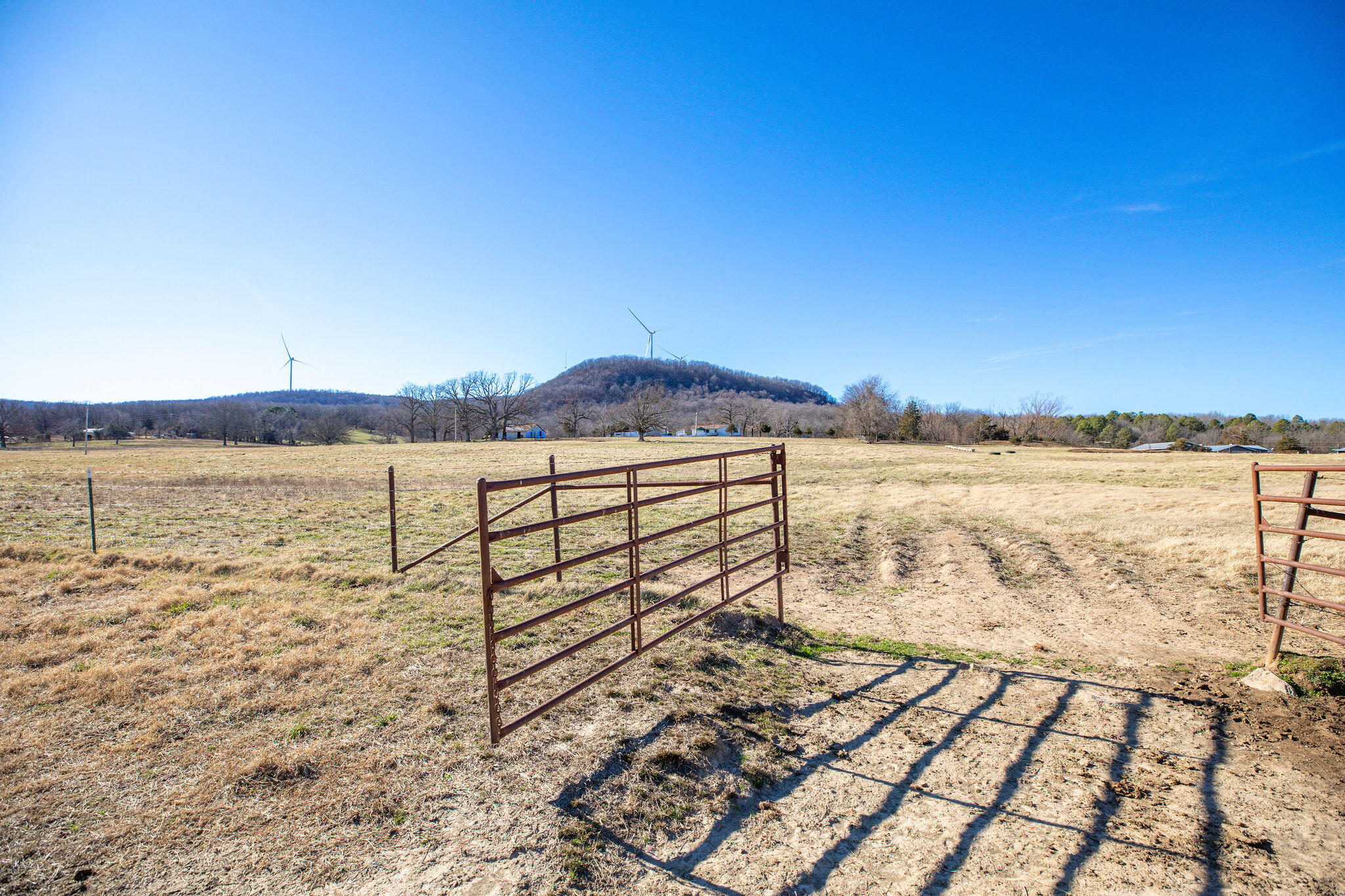 Photo 19 - Land for sale – Tbd  County Road 906   Green Forest, AR