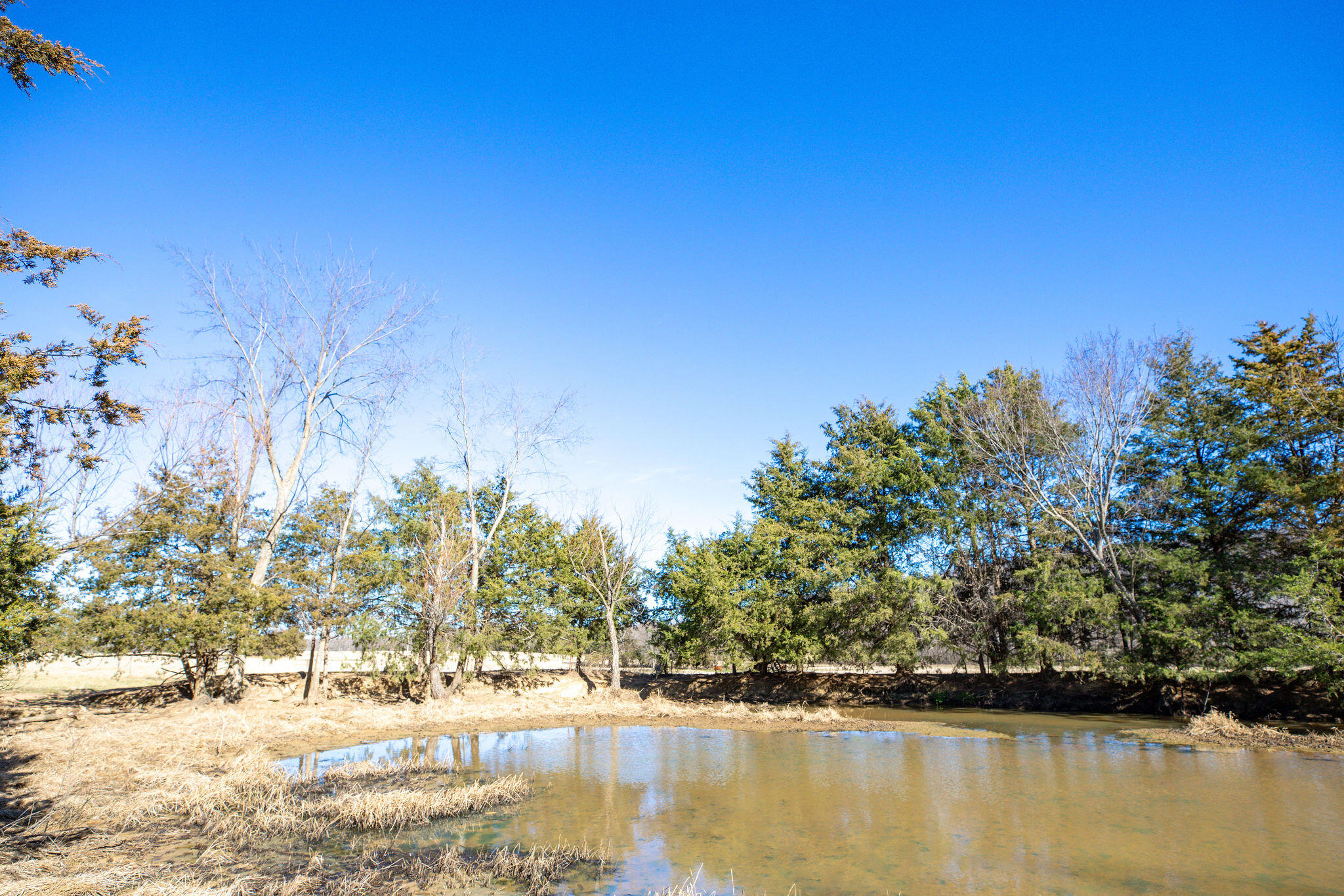 Photo 16 - Land for sale – Tbd  County Road 906   Green Forest, AR