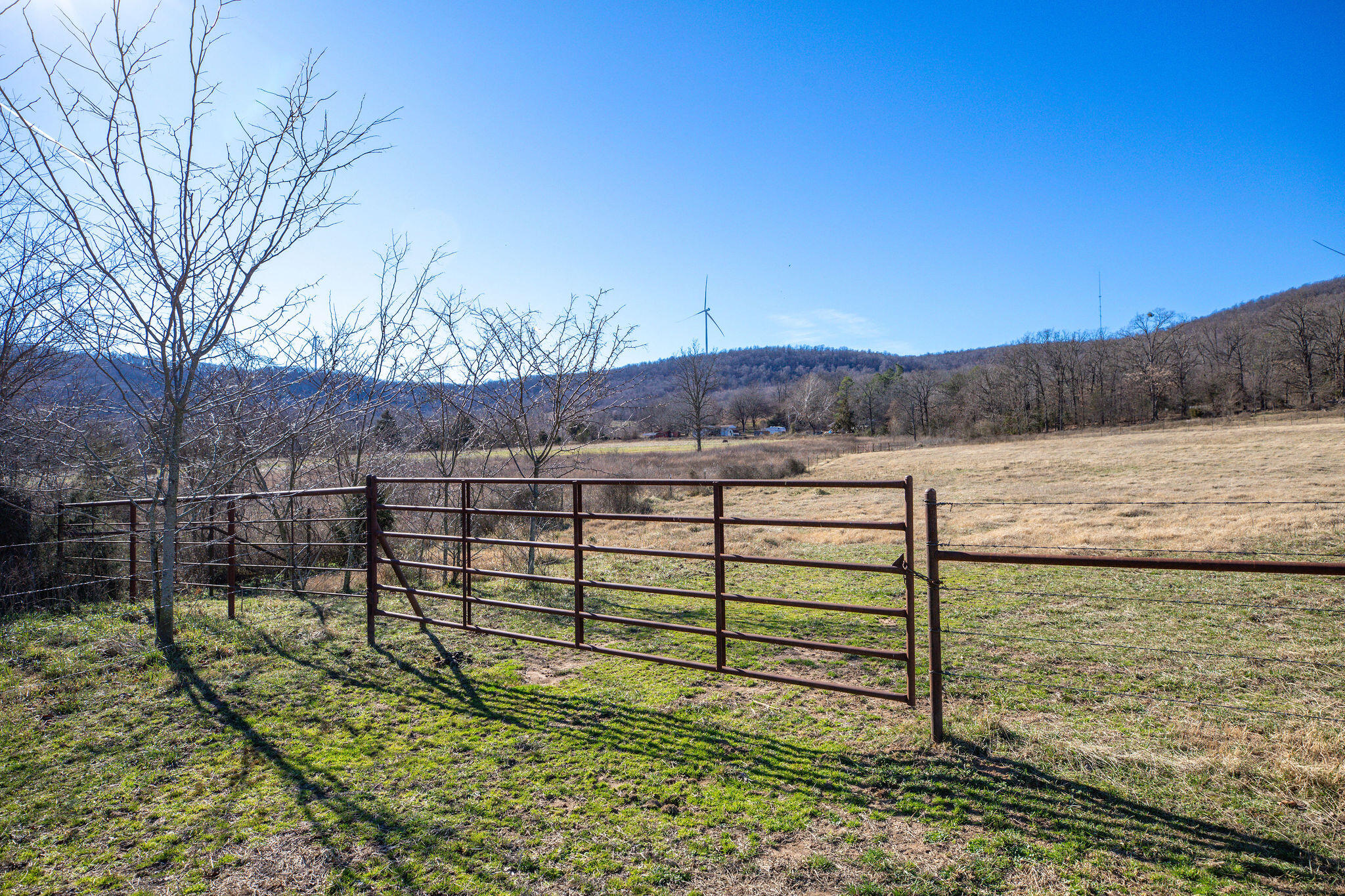 Photo 24 - Land for sale – Tbd  County Road 906   Green Forest, AR