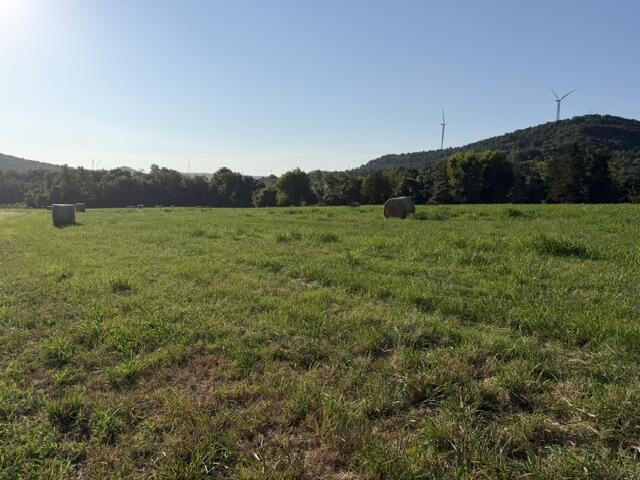 Photo 6 - Land for sale – Tbd  County Road 906   Green Forest, AR