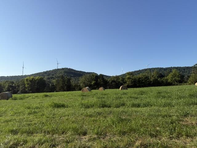 Photo 4 - Land for sale – Tbd  County Road 906   Green Forest, AR
