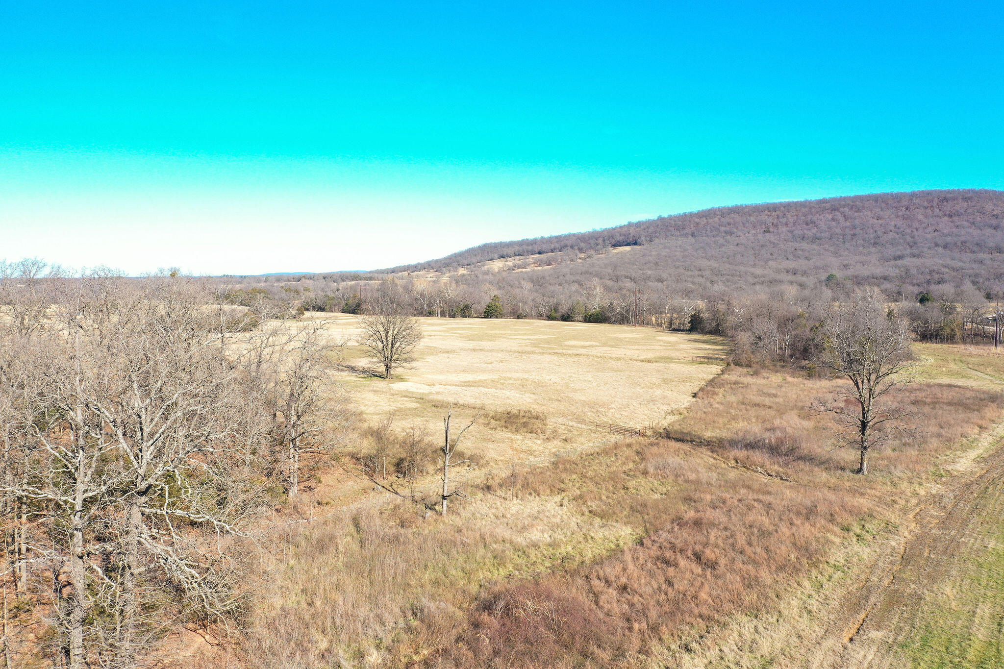 Photo 28 - Land for sale – Tbd  County Road 906   Green Forest, AR