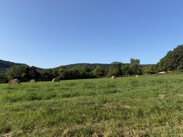 Photo 5 - Land for sale – Tbd  County Road 906   Green Forest, AR