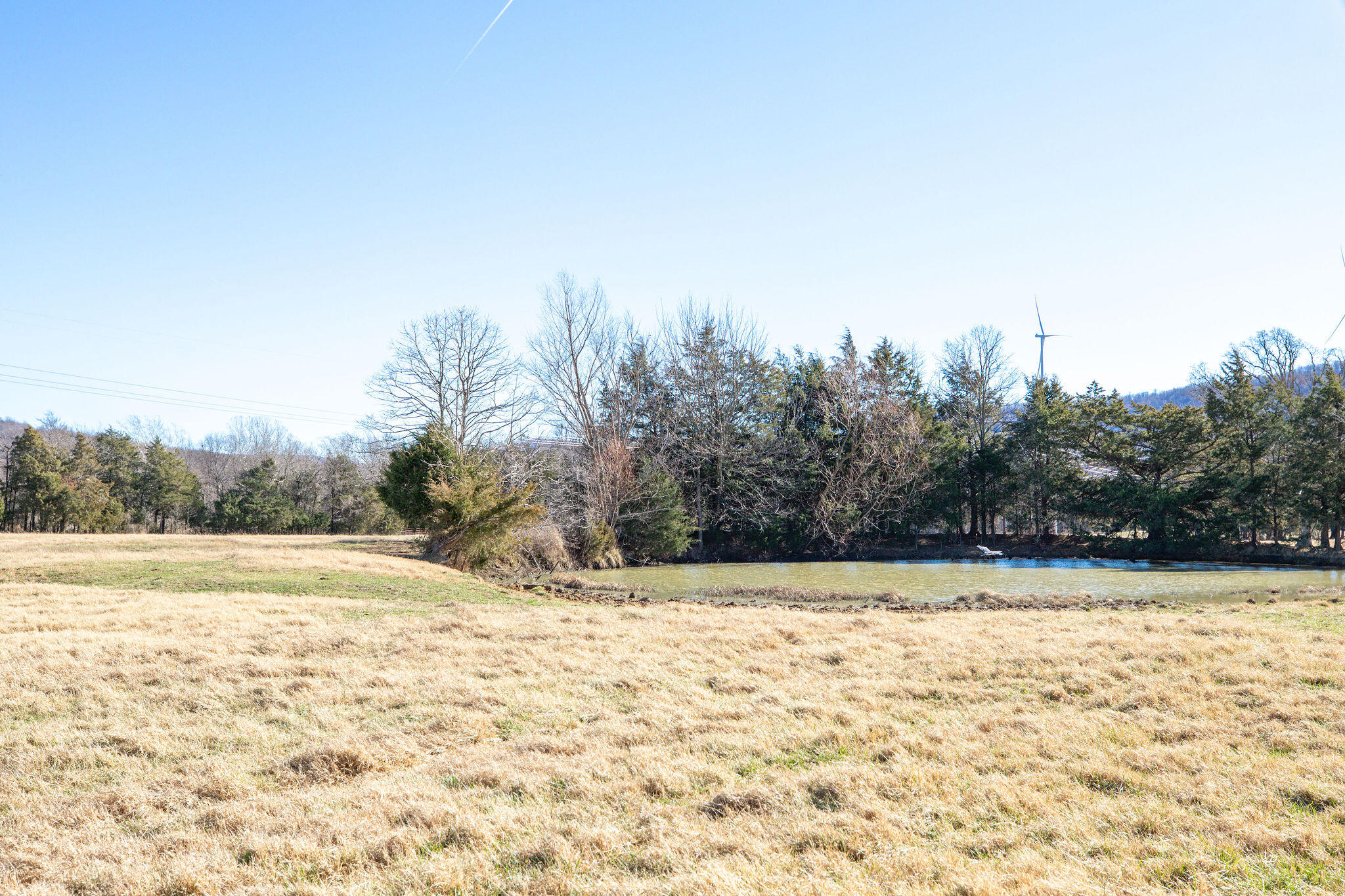 Photo 20 - Land for sale – Tbd  County Road 906   Green Forest, AR