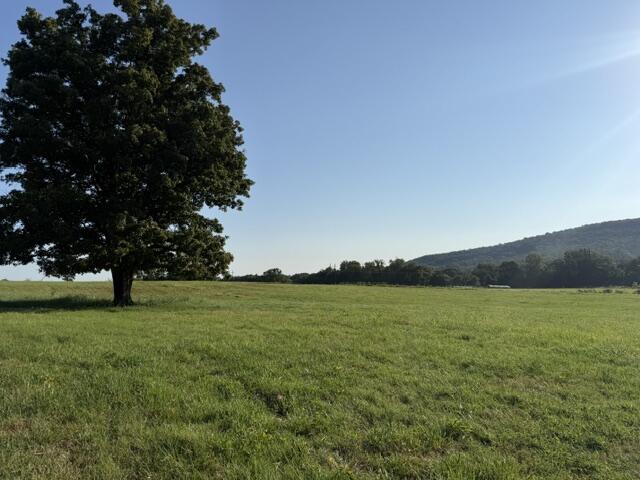 Photo 8 - Land for sale – Tbd  County Road 906   Green Forest, AR
