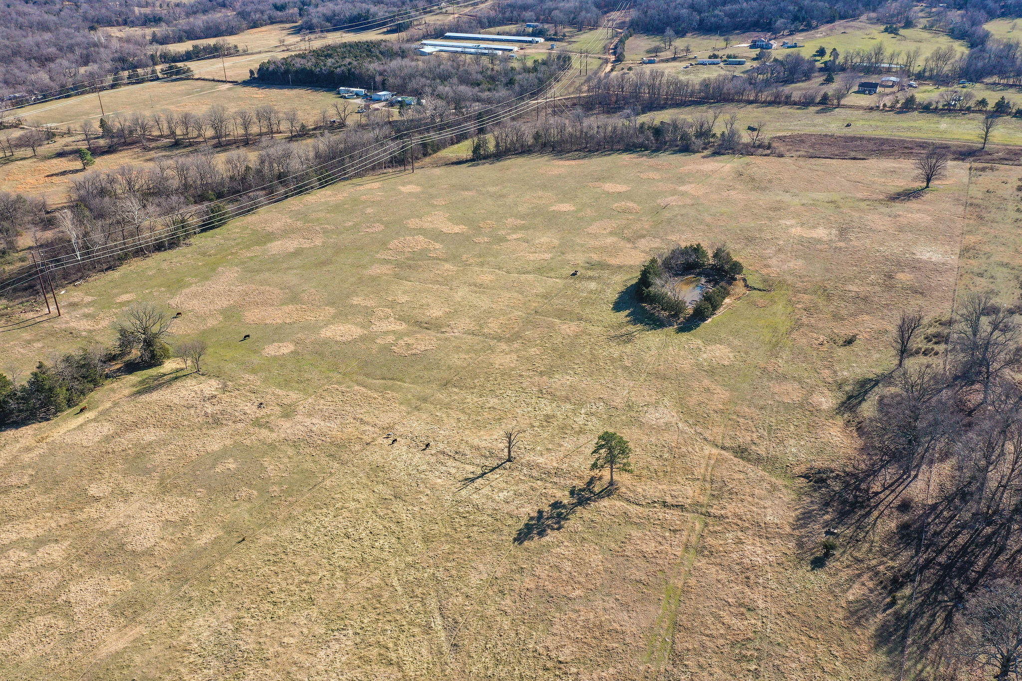 Photo 38 - Land for sale – Tbd  County Road 906   Green Forest, AR
