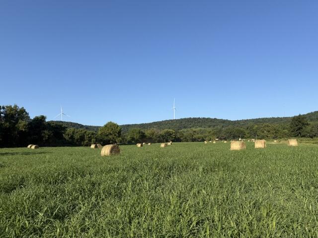 Photo 3 - Land for sale – Tbd  County Road 906   Green Forest, AR