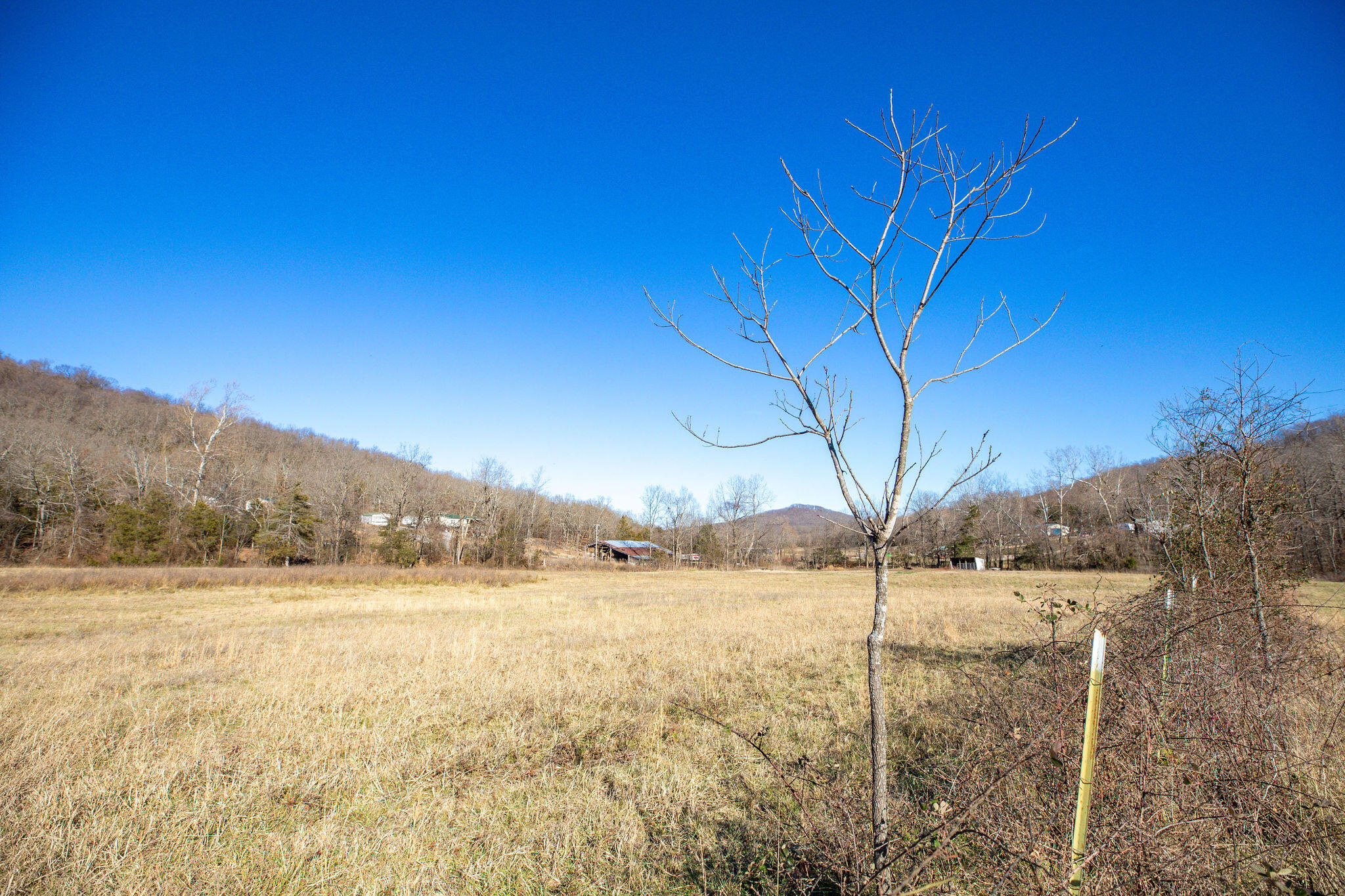 Photo 27 - Land for sale – Tbd  County Road 906   Green Forest, AR