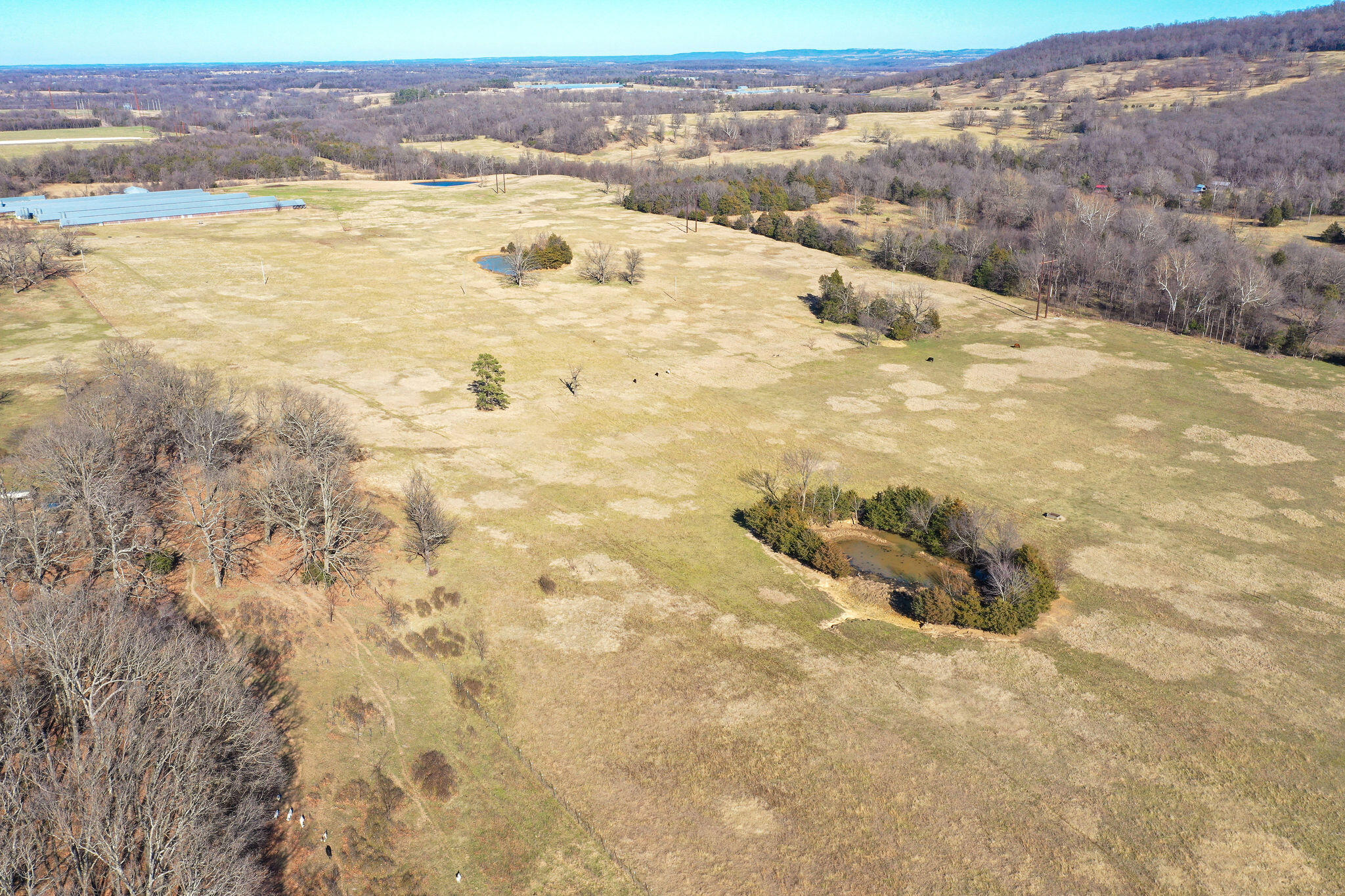 Photo 40 - Land for sale – Tbd  County Road 906   Green Forest, AR