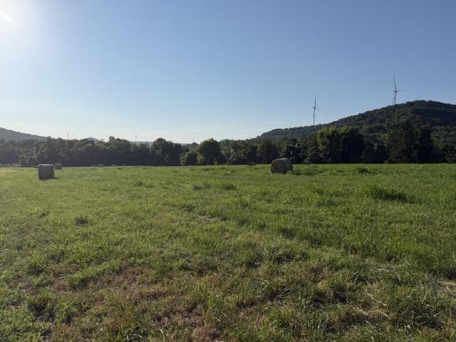 Photo 2 - Land for sale – Tbd  County Road 906   Green Forest, AR